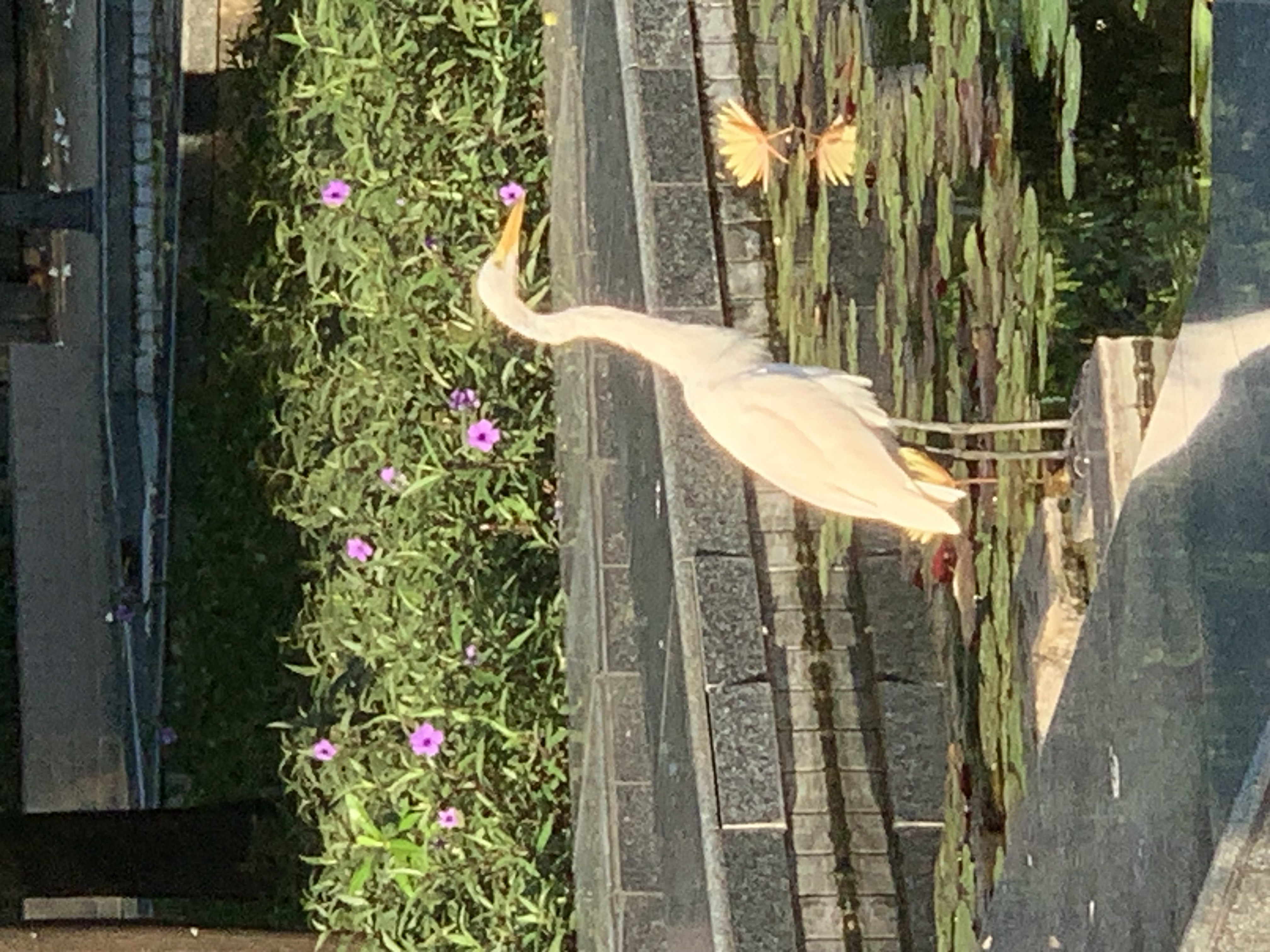 birdwatching spots4.jpg