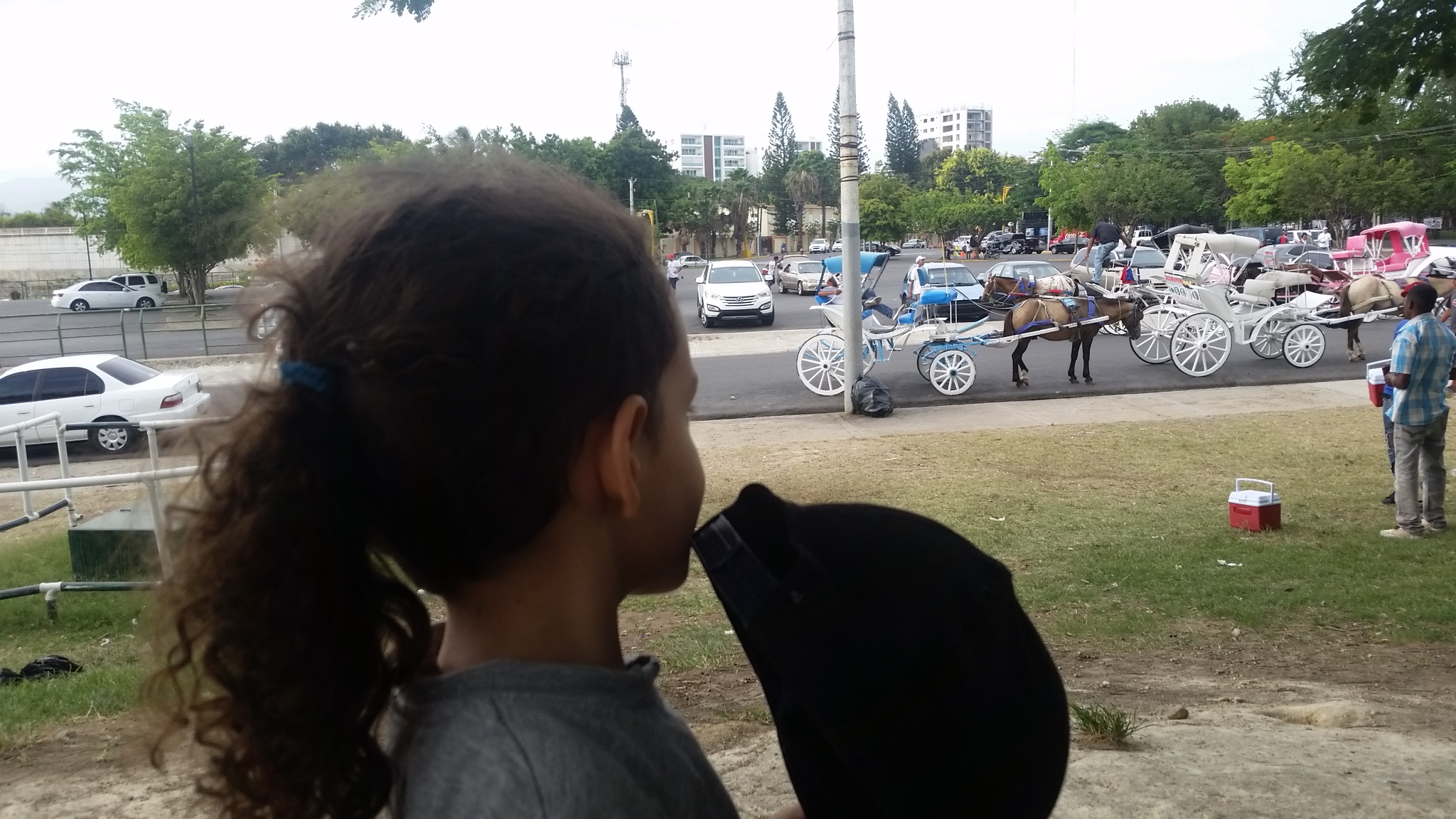 20180707_174516.jpg