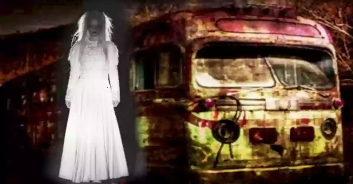 Bus no 375 china.webp
