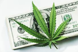 weed 1.jpg