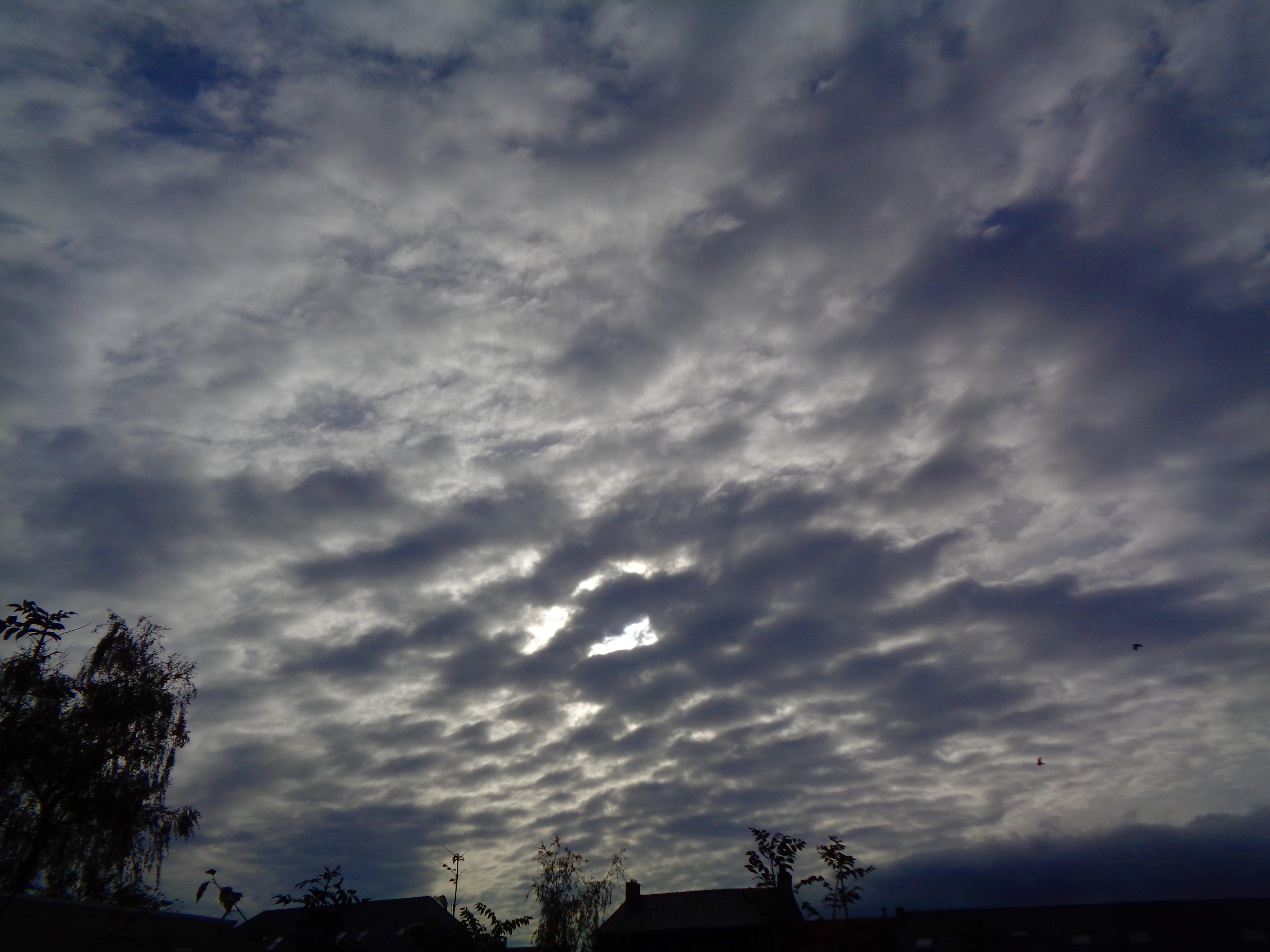 steemcloud15.JPG
