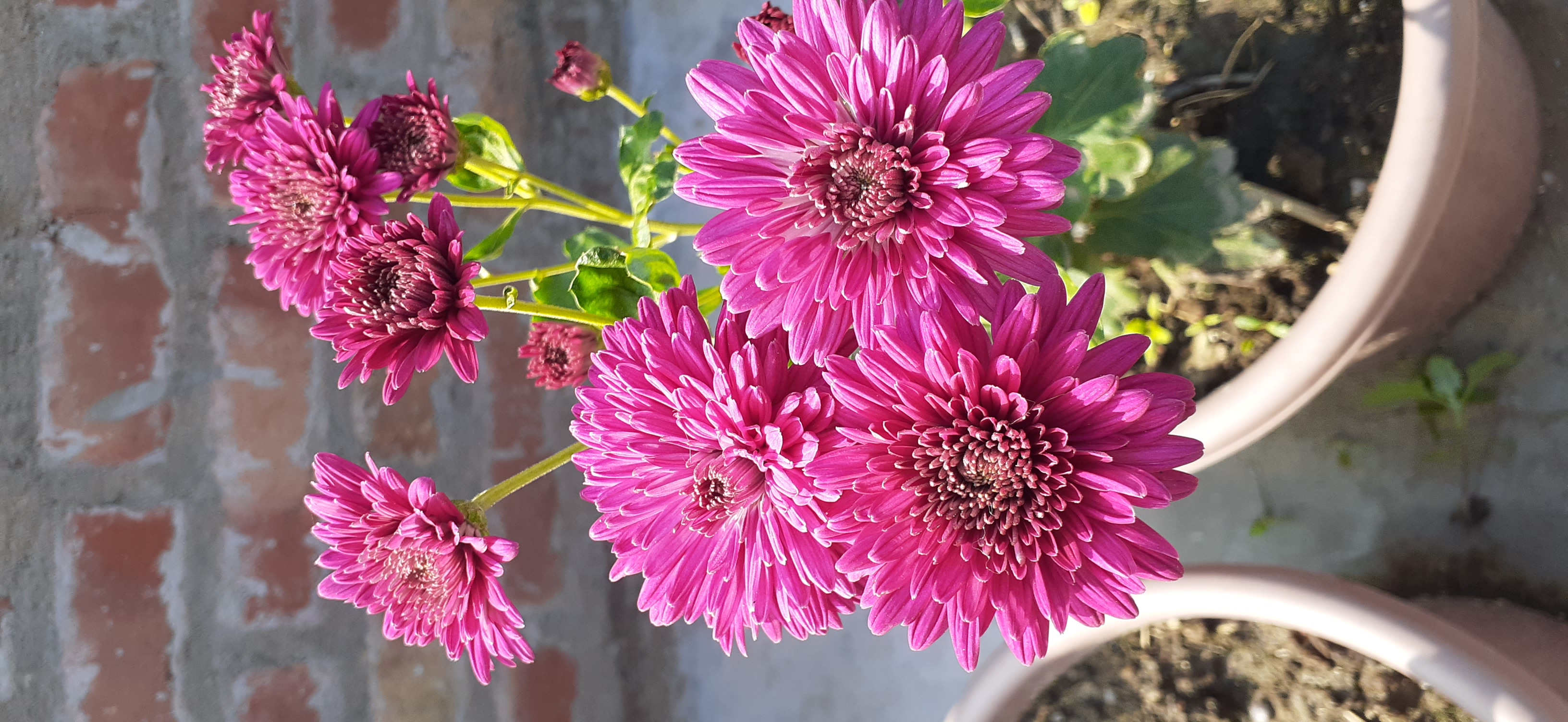 20191222_113149.jpg