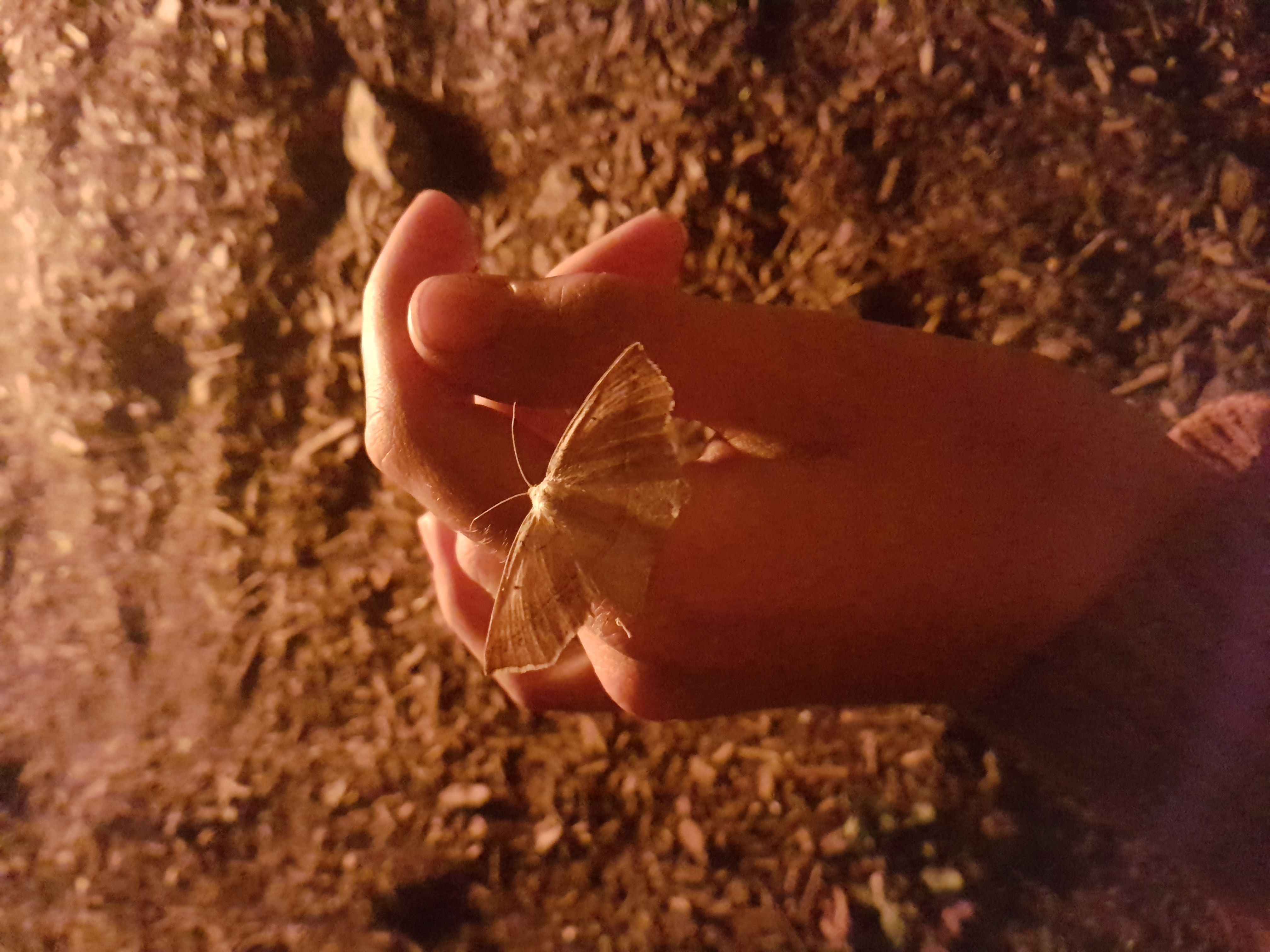 20180728_234552.jpg