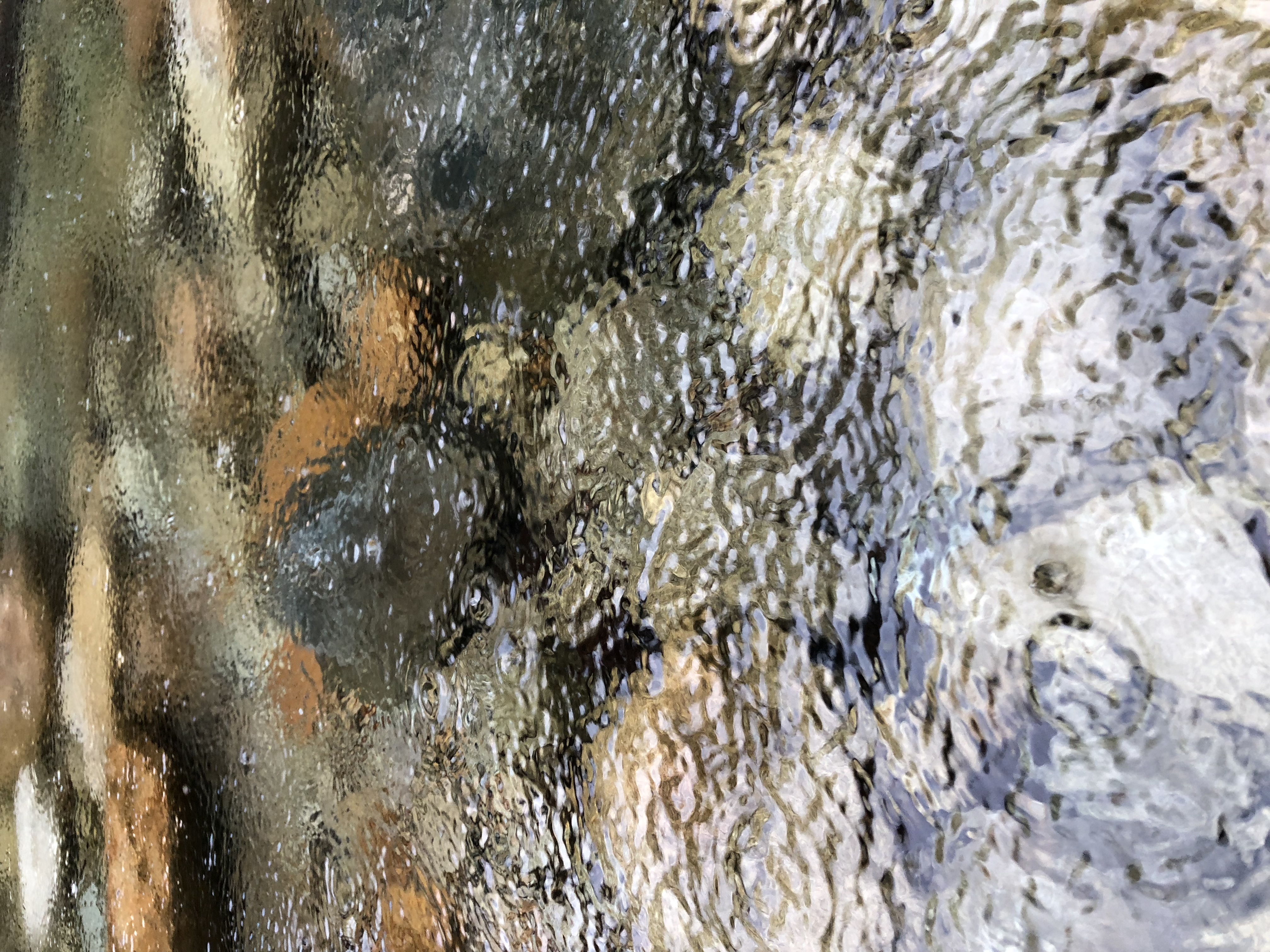 C534276B-4E6D-49A4-8E0B-7AEBF50A6831.jpeg