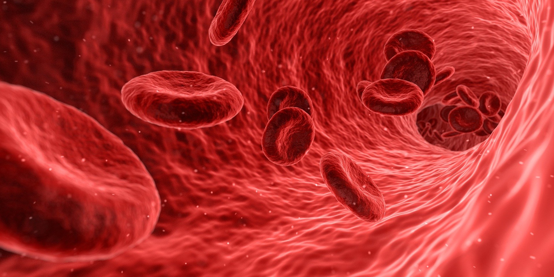 blood-gd0deaa9c6_1920.jpg