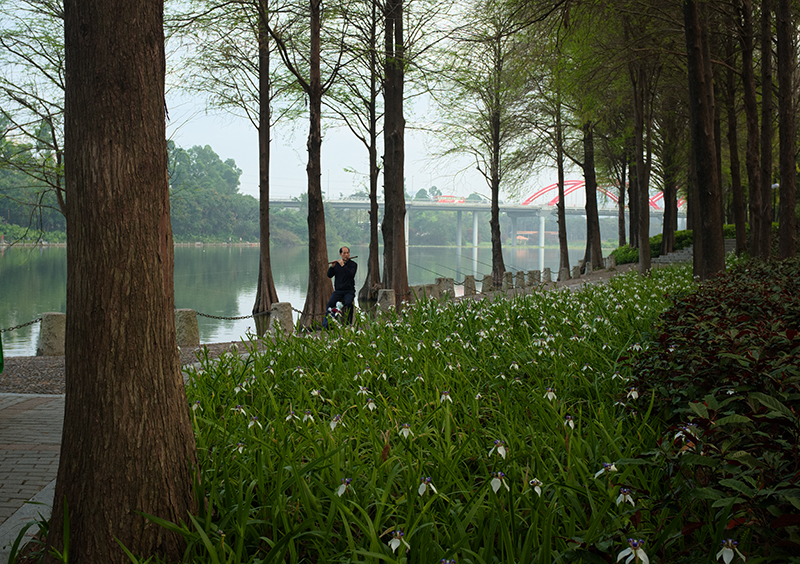 _JOH8026_800.jpg