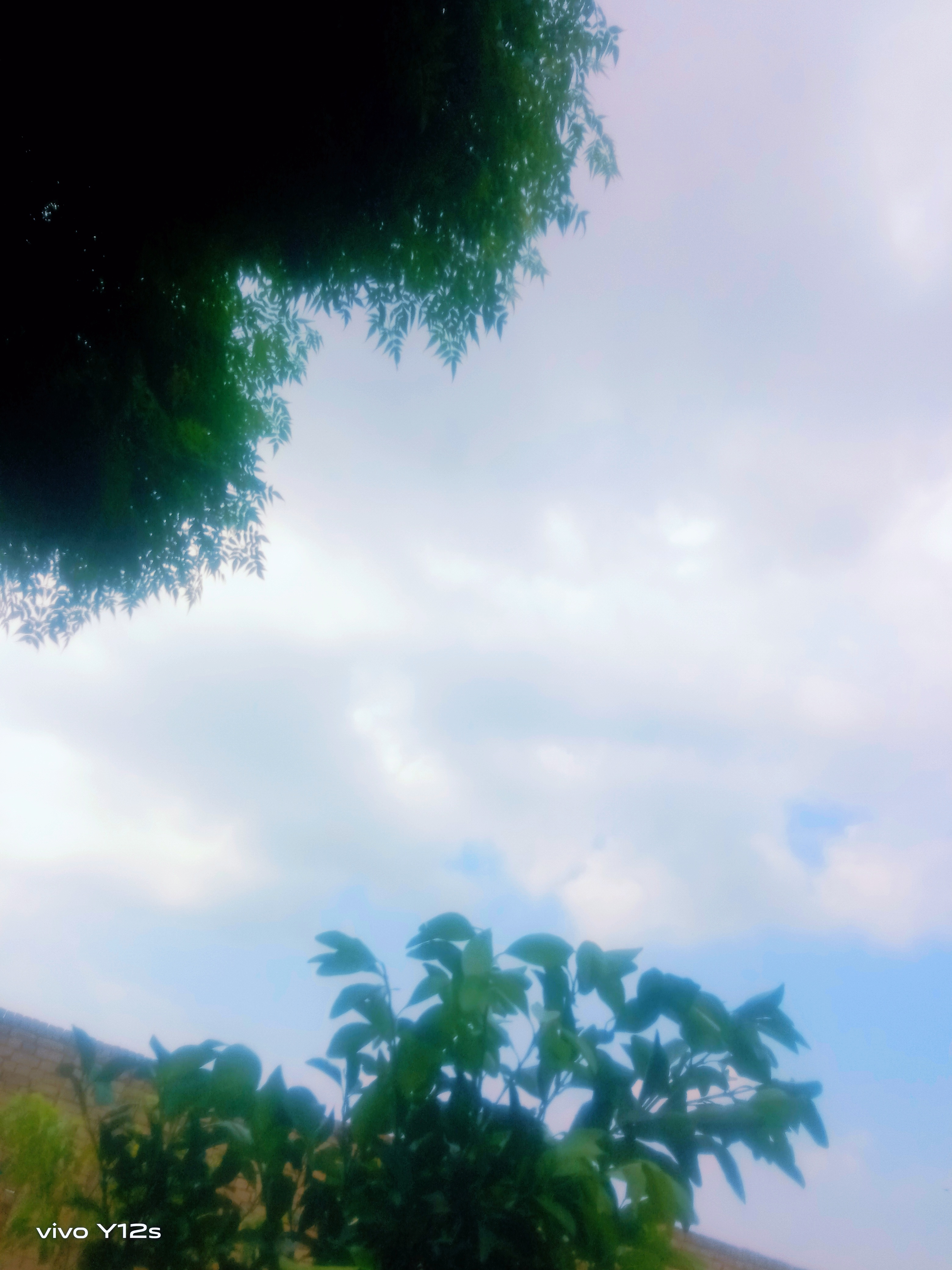 IMG_20230728_155155.jpg