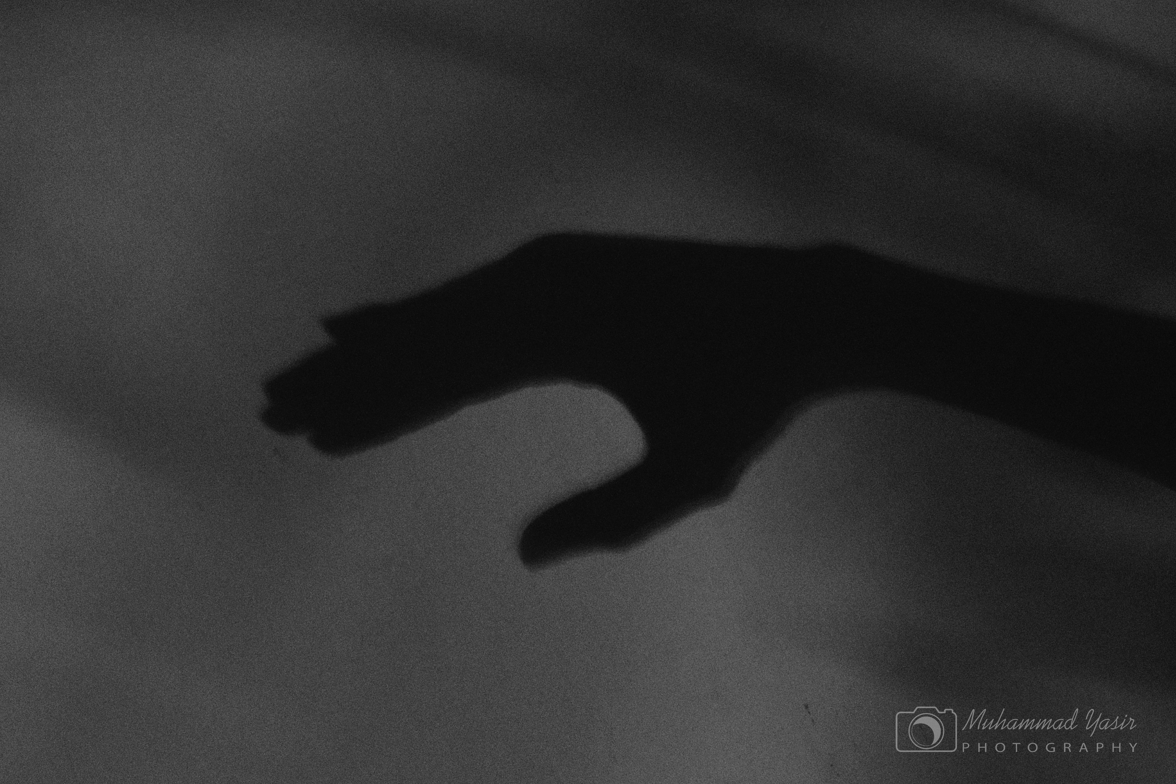 20190903212813_IMG_8942_edited.jpeg