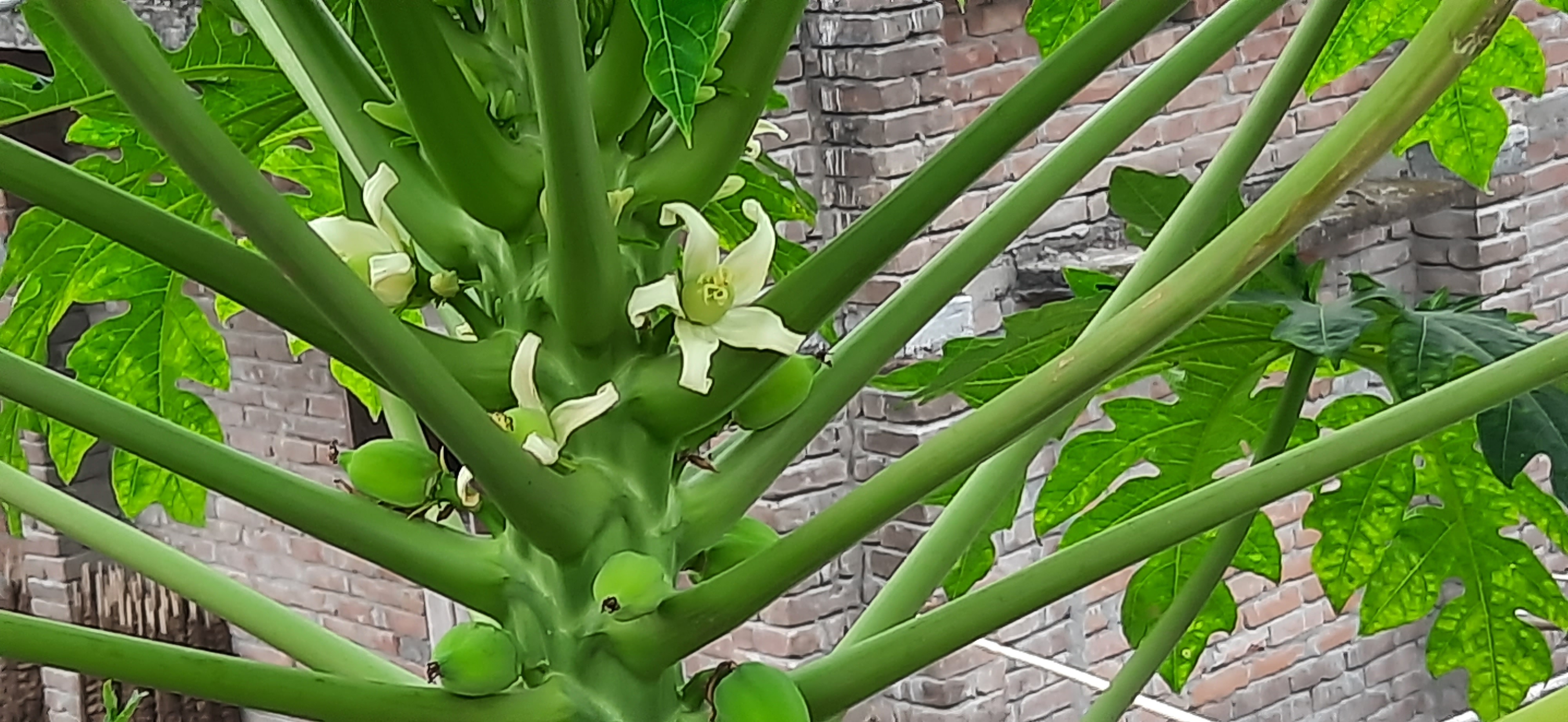 20210611_180424.jpg