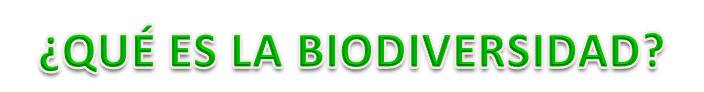 BIODIVERSIDAD.jpg
