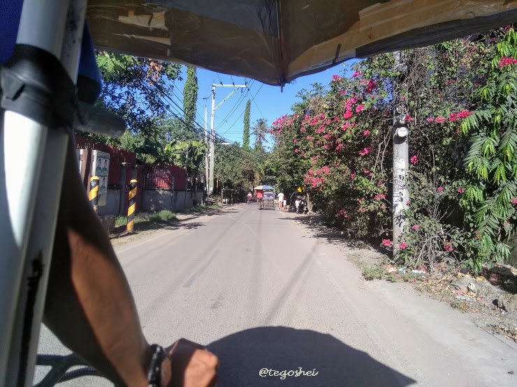 IMG_20190513_153729.jpg