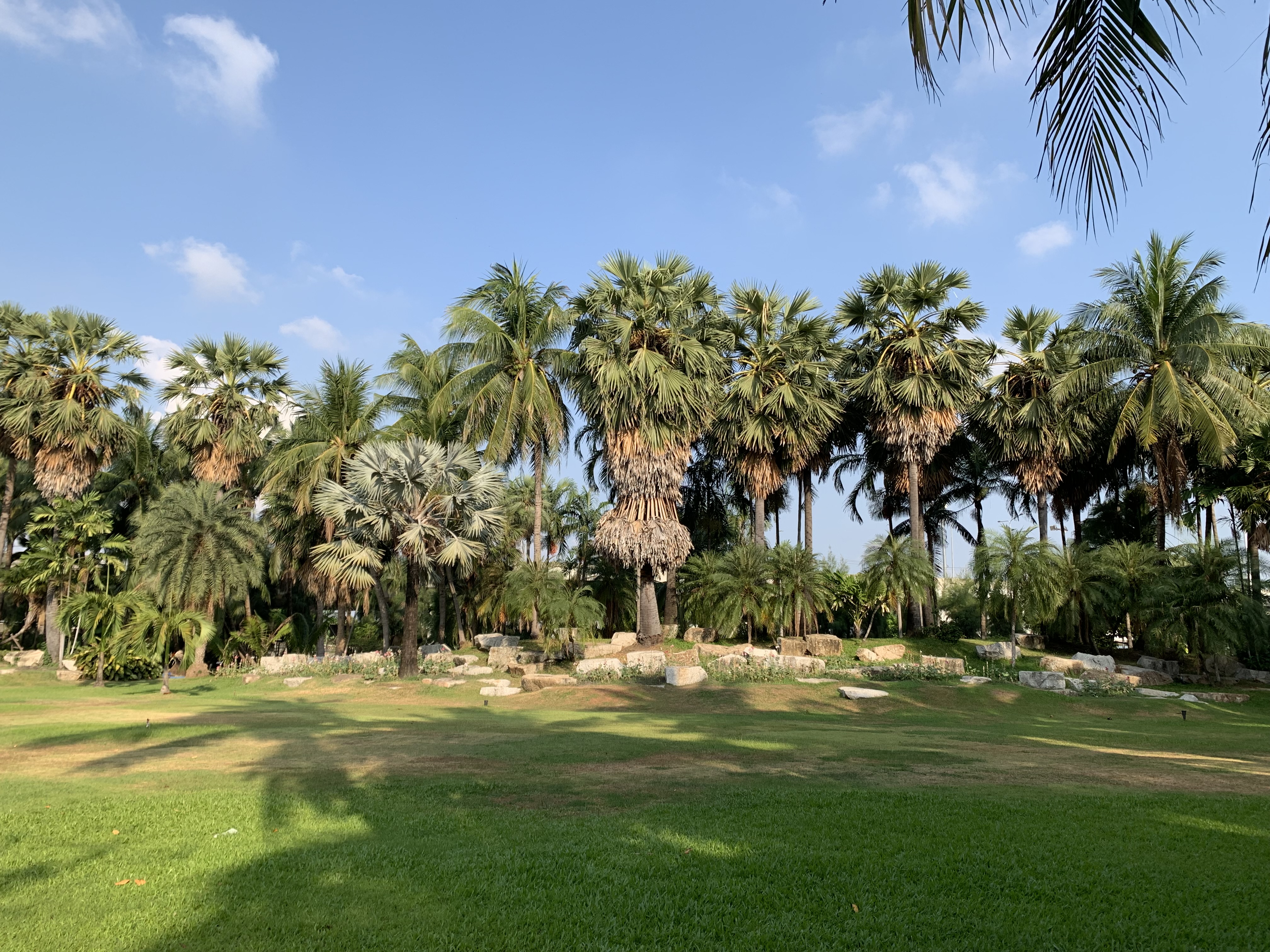 Stone Park3.jpg