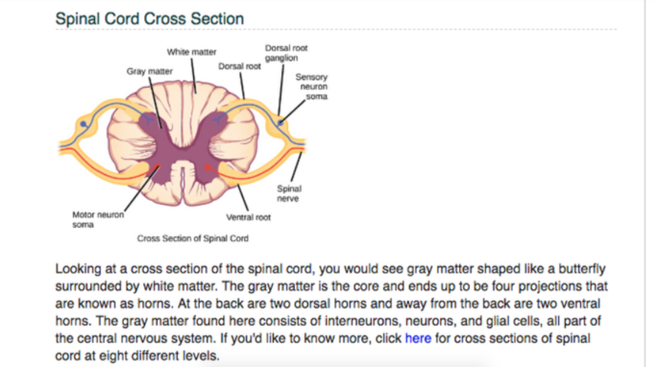 Screen Shot 2021-01-14 at 9.47.56 AM.png