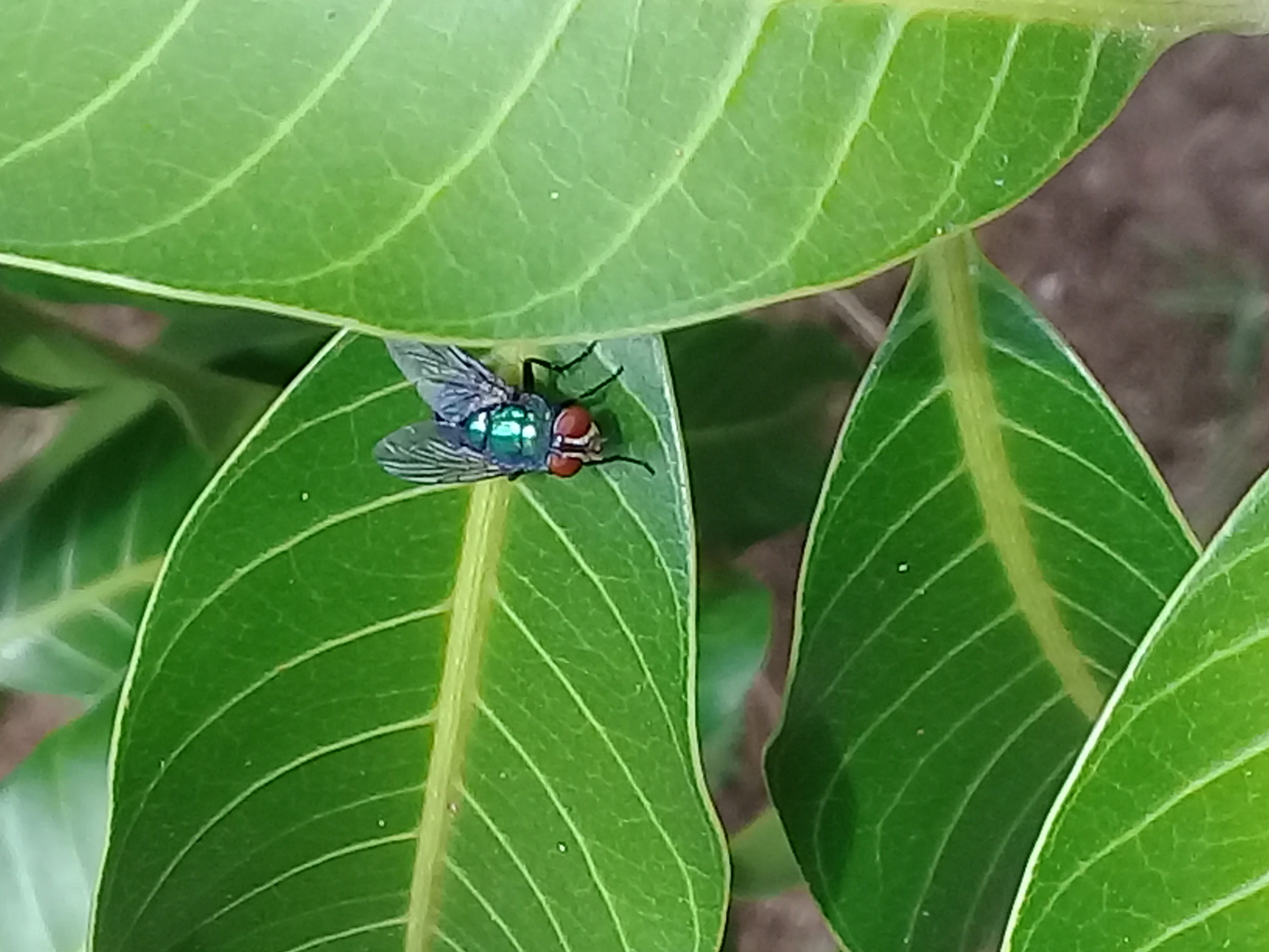 20180708_120244.jpg
