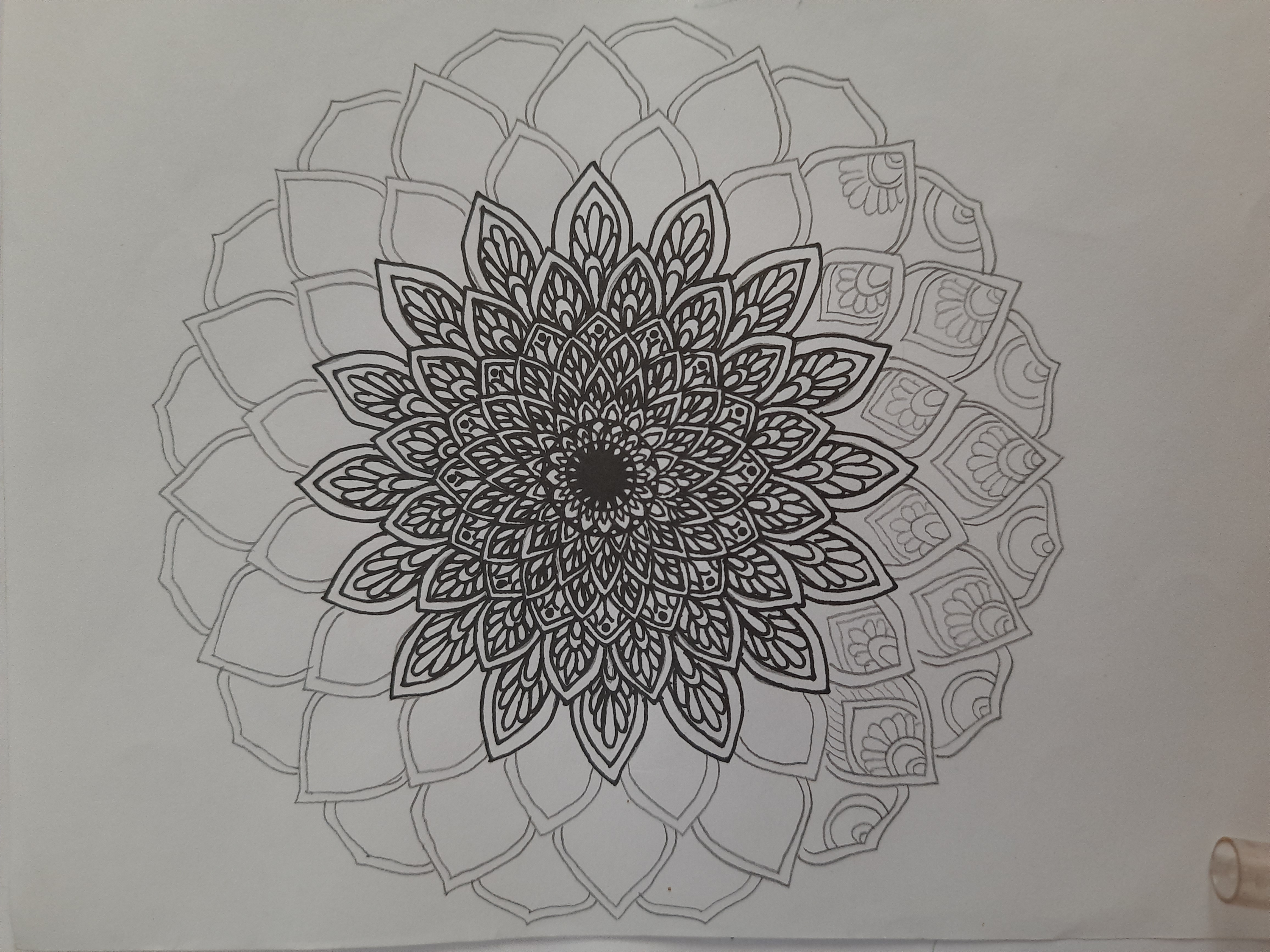 20260406_162423.jpg