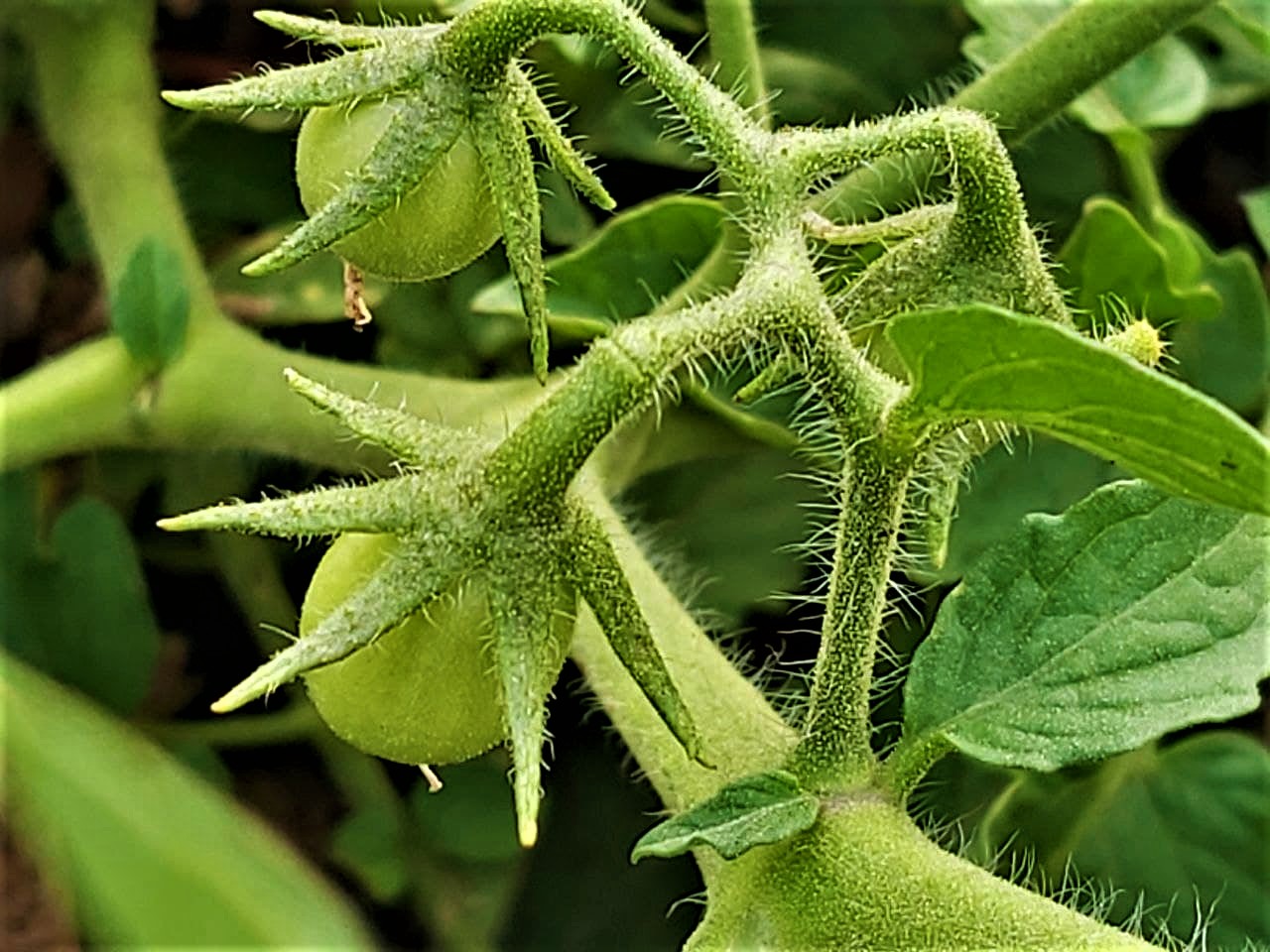 photo_2021-08-20_19-25-11 (3).jpg