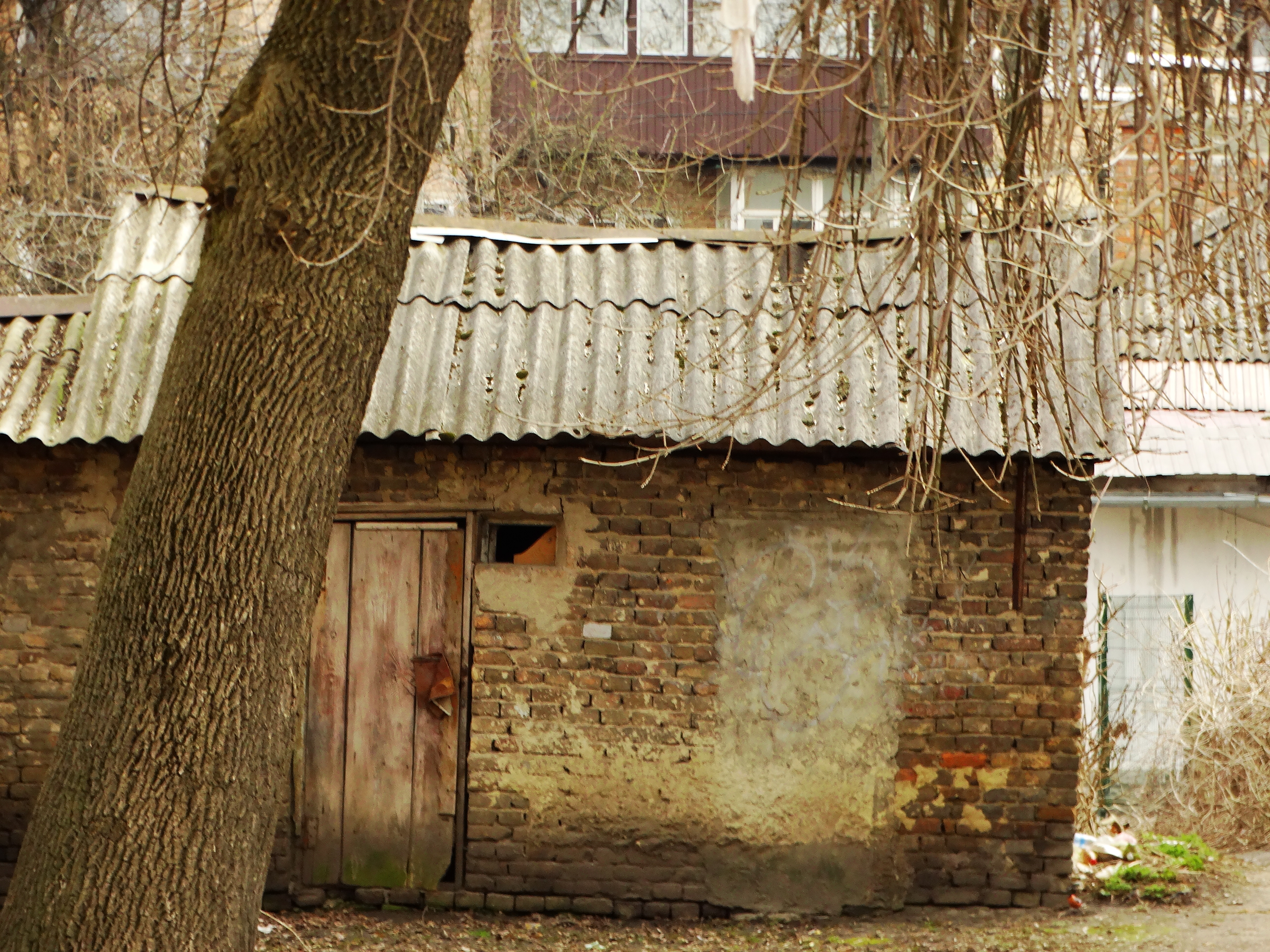 DSC01113.JPG