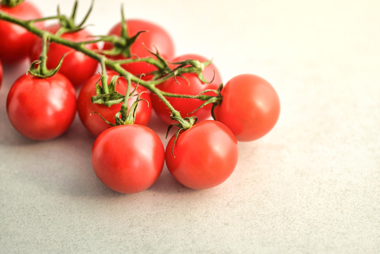 tomatoes-3409835_1280.jpg