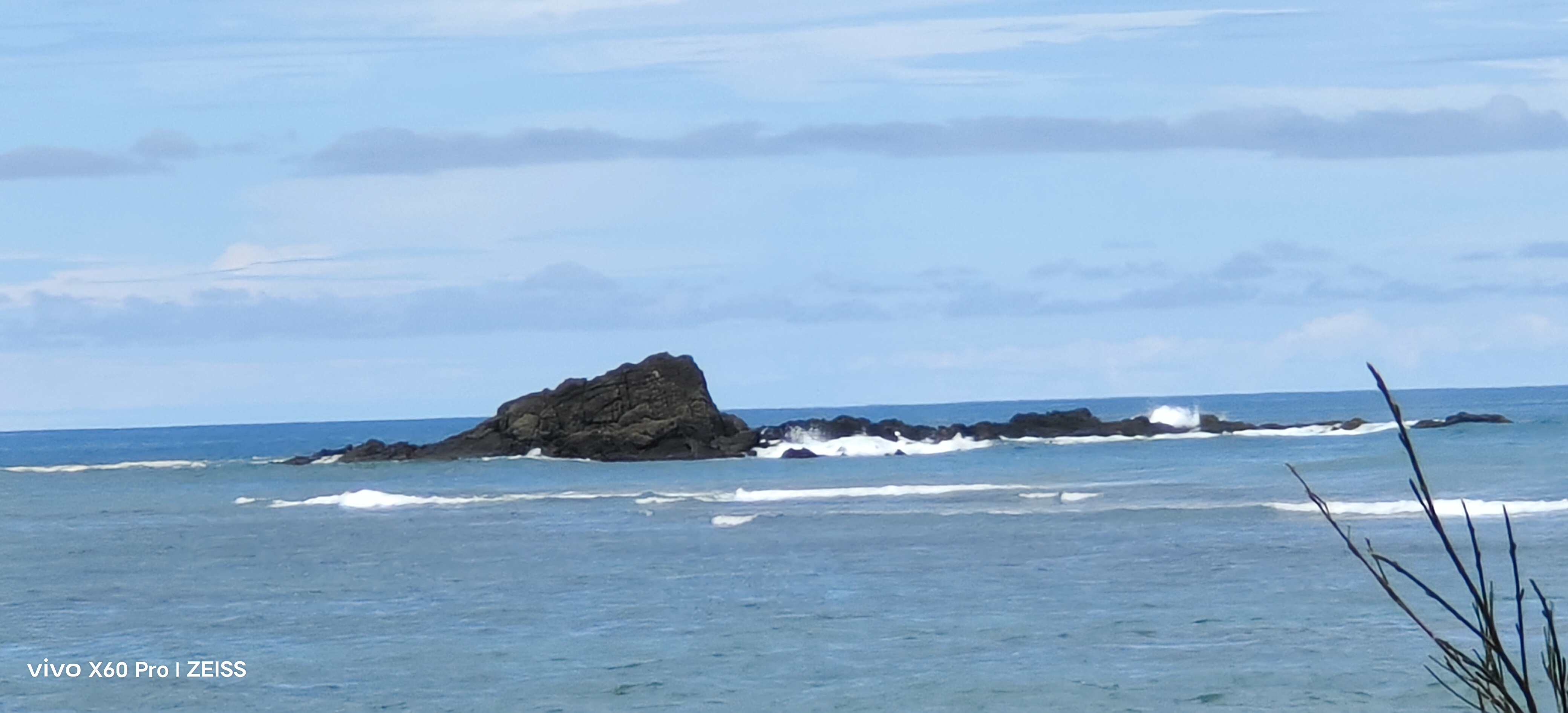 IMG_20250405_111359.jpg