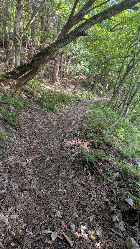 PXL_20260710_234314558.jpg