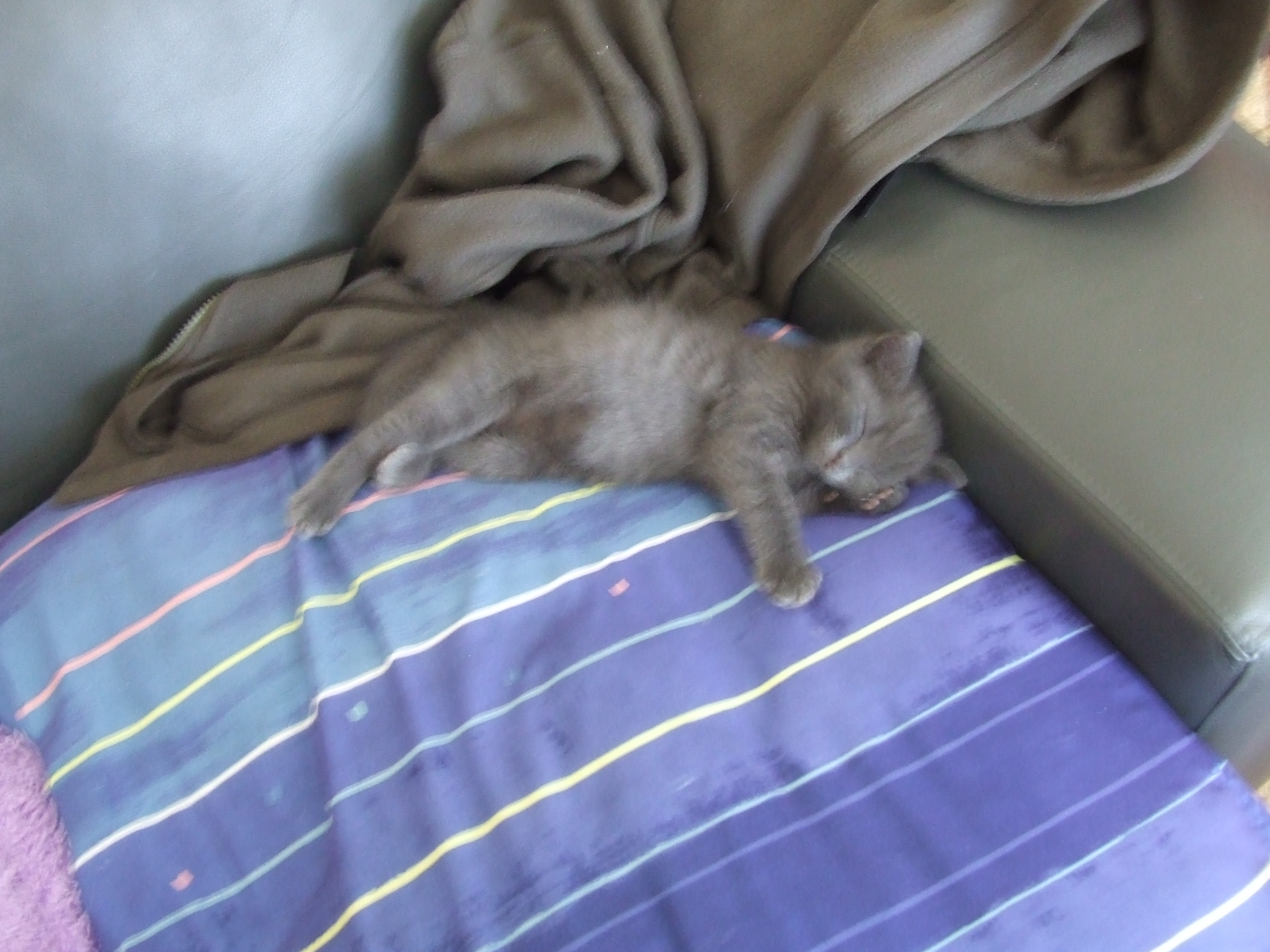 DSCF3602.JPG