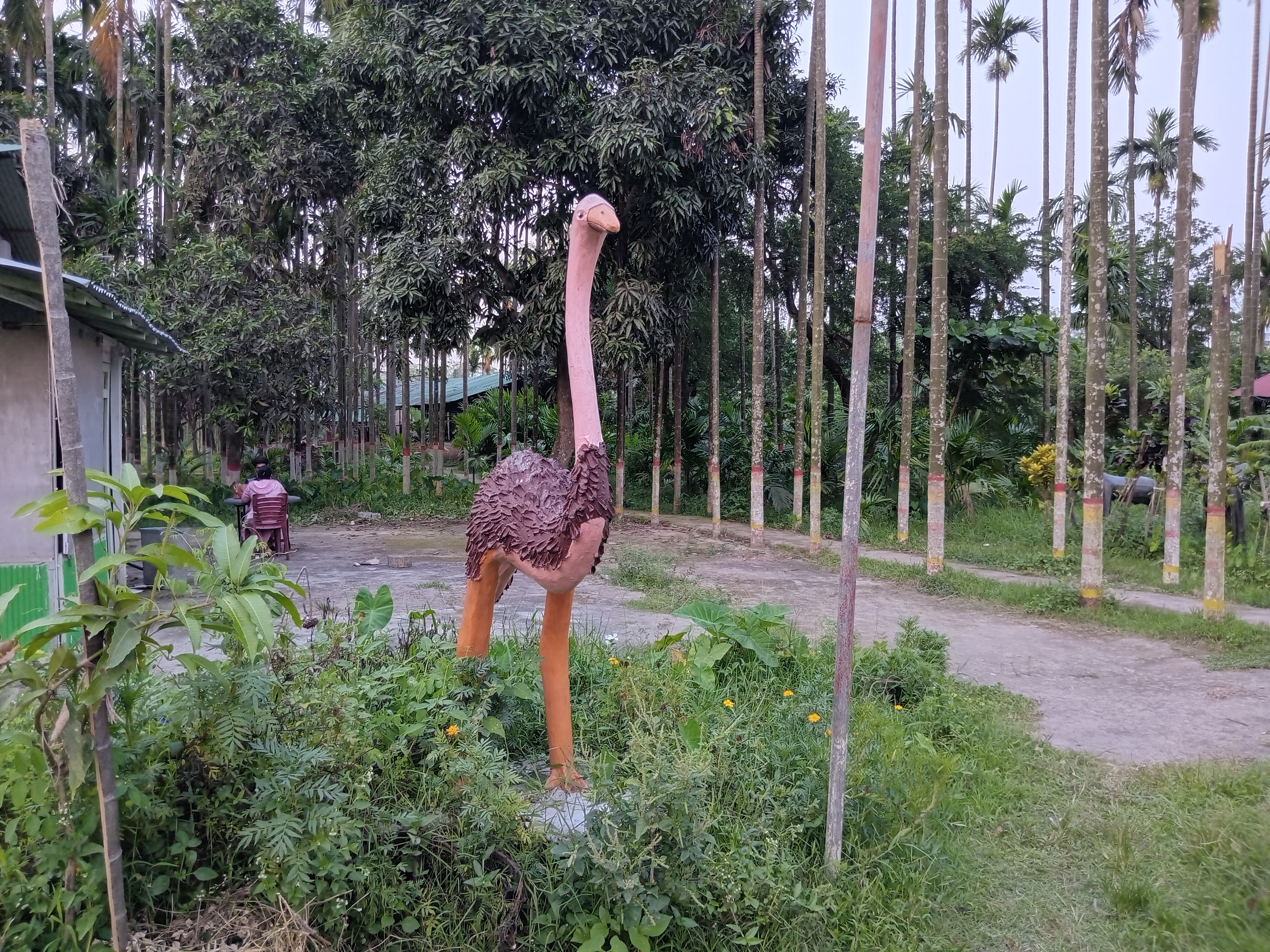 1000019878.jpg