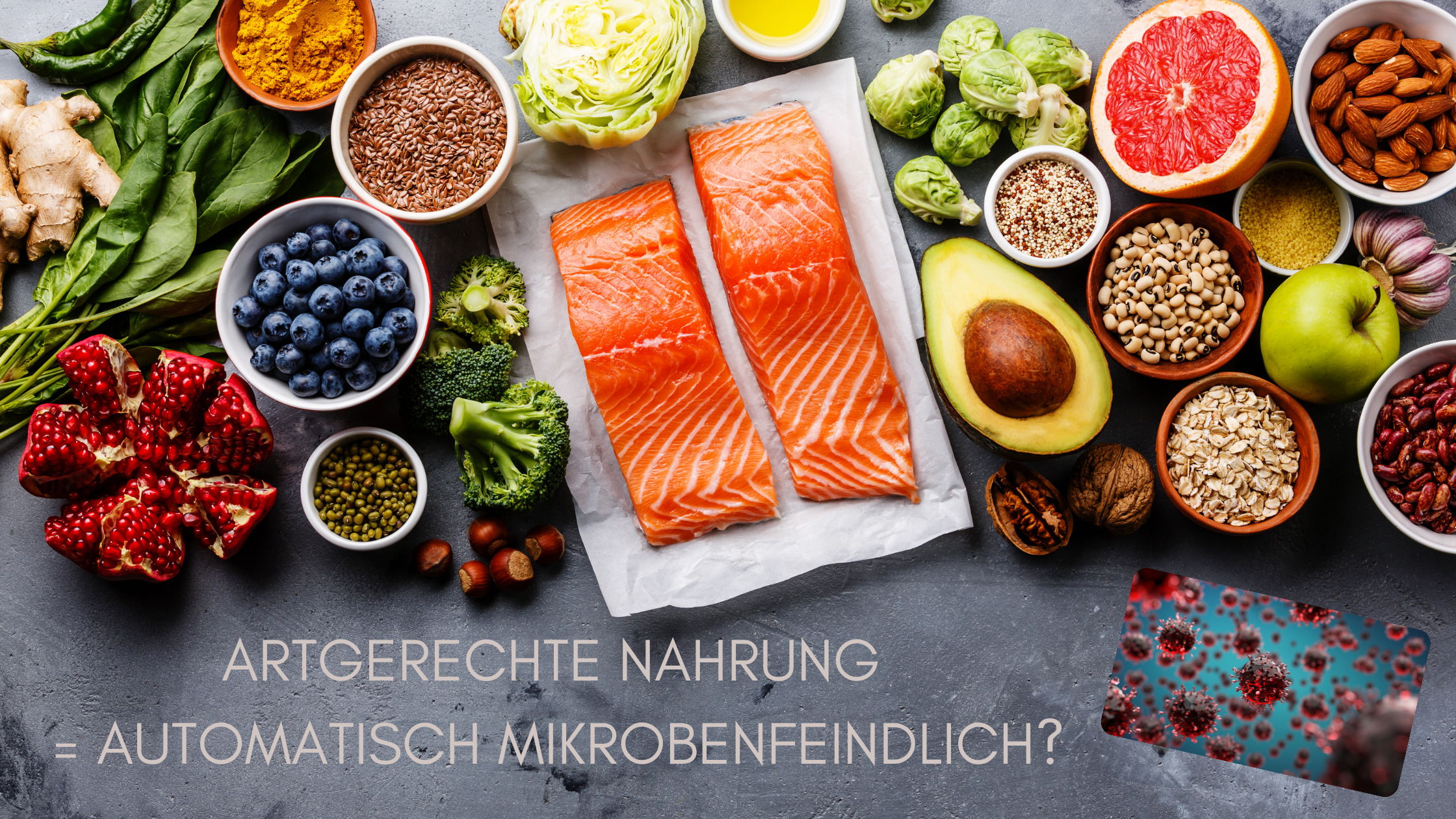 ARTGERECHTE NAHRUNG = AUTOMATISCH MIKROBENFEINDLICH.png
