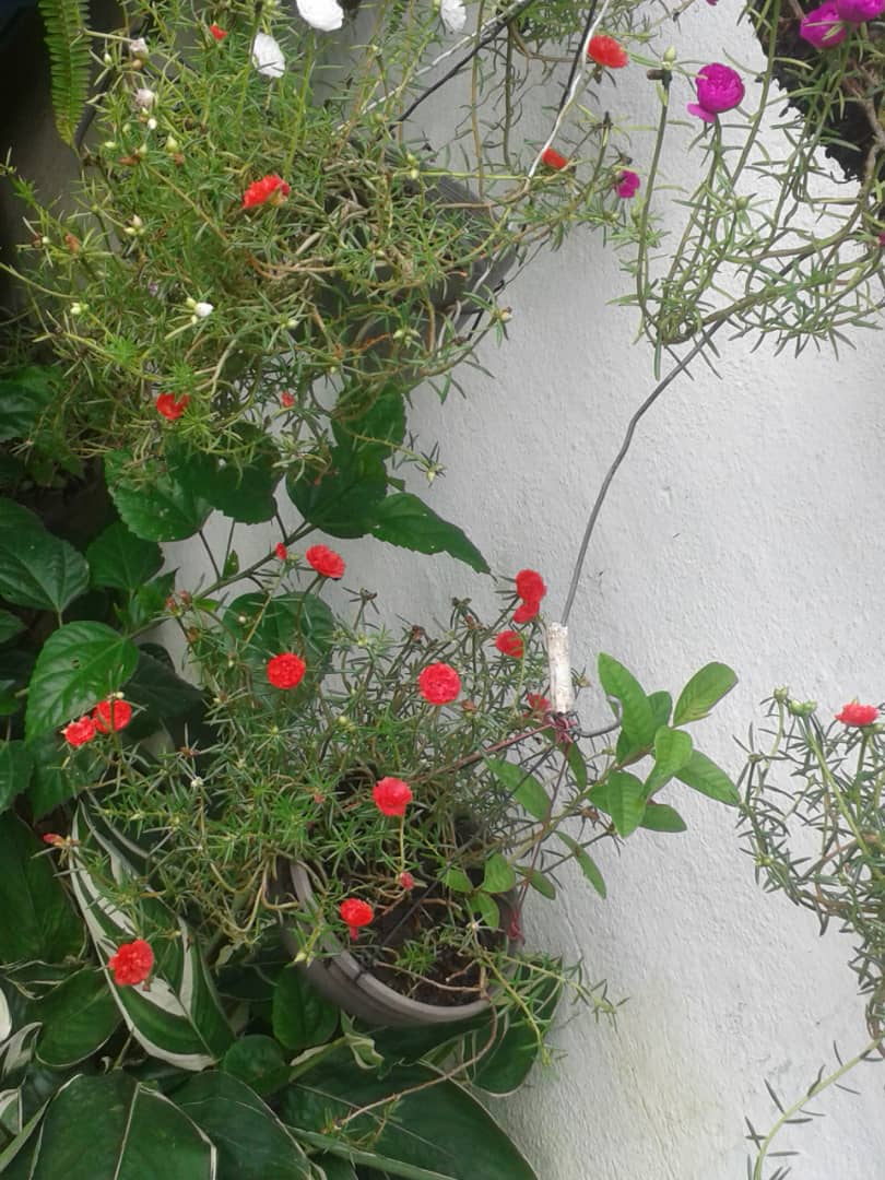 IMG-20190914-WA0003.jpg