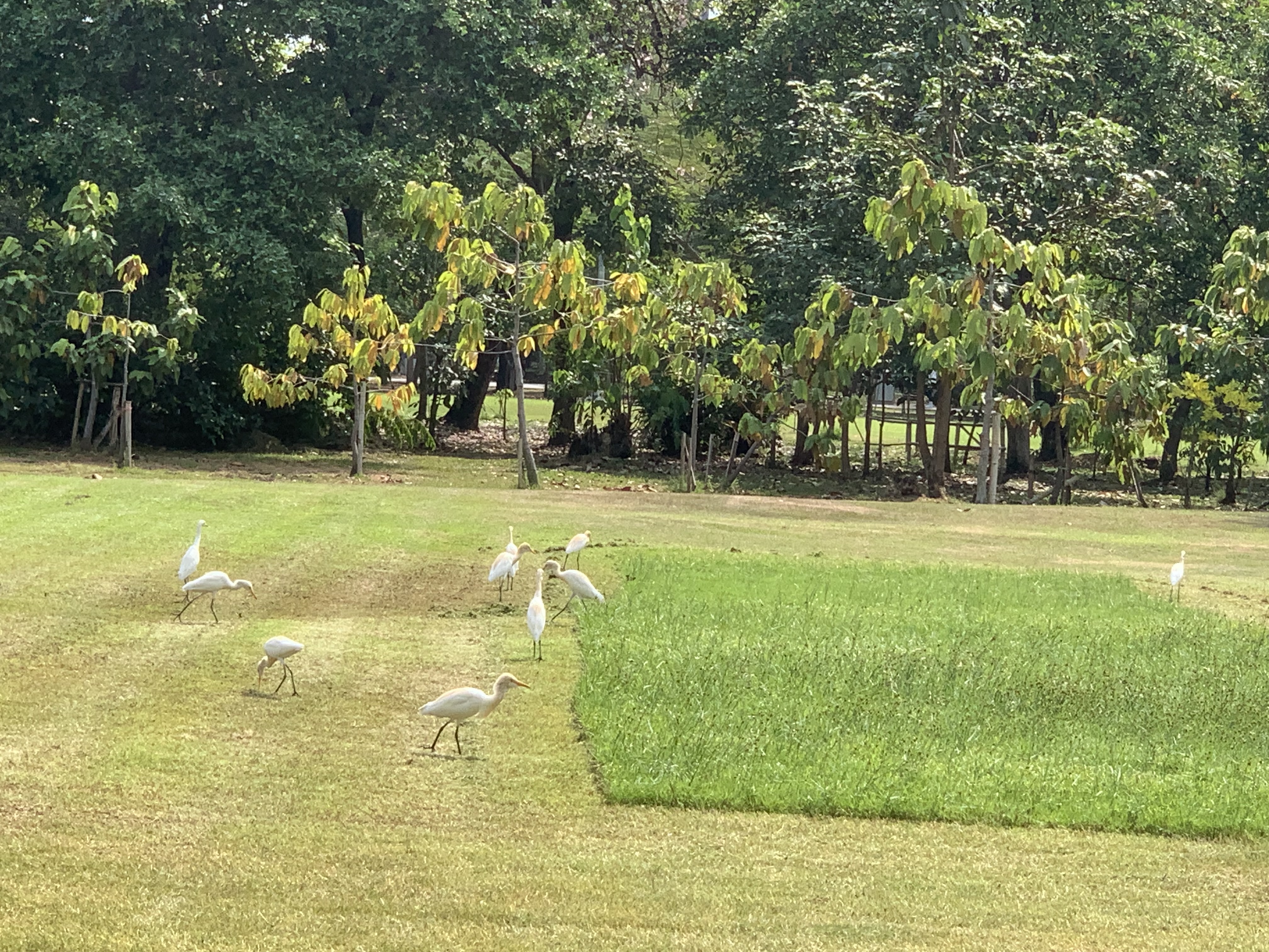 birdwatching spots21.jpg