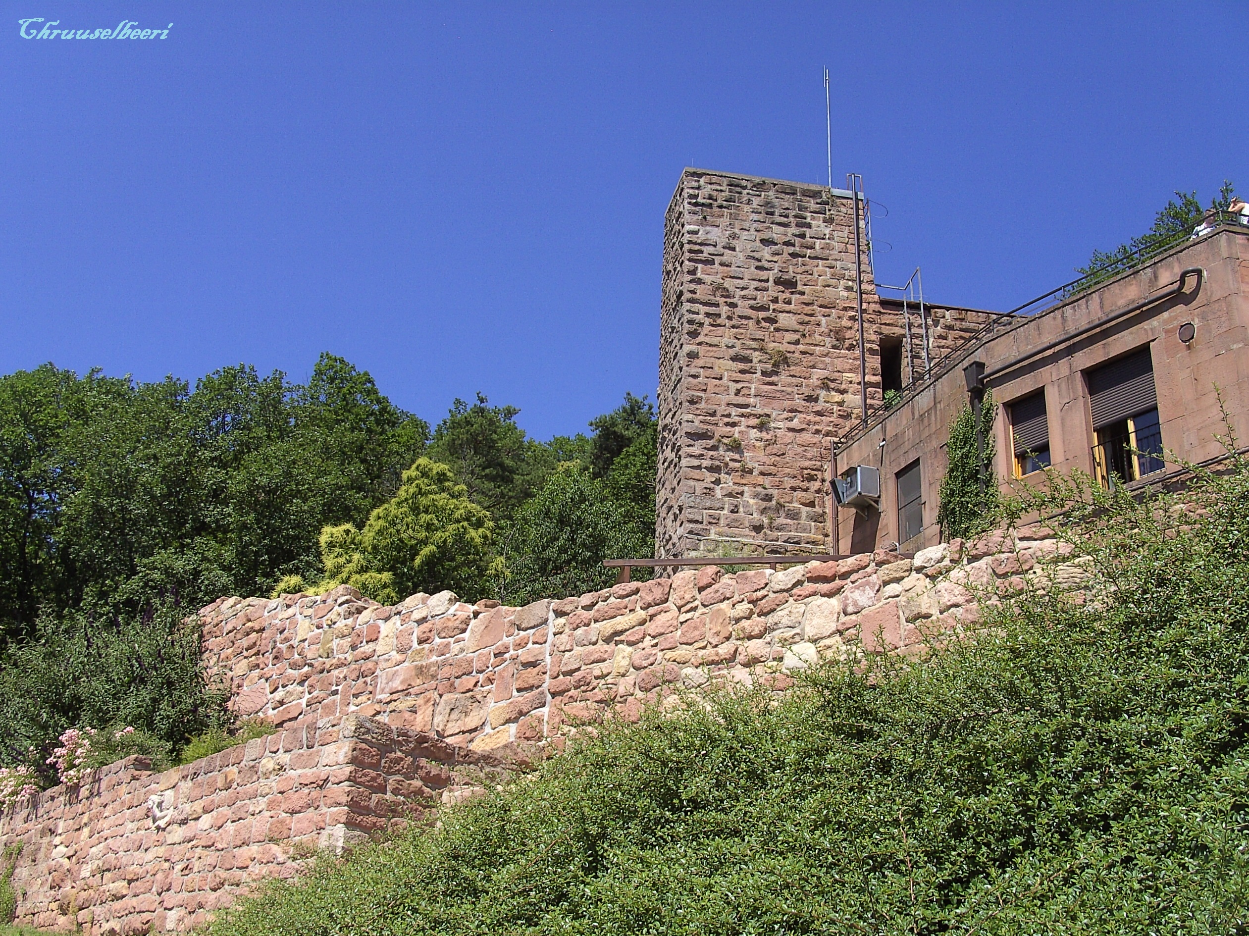 Rietburg_12.jpg