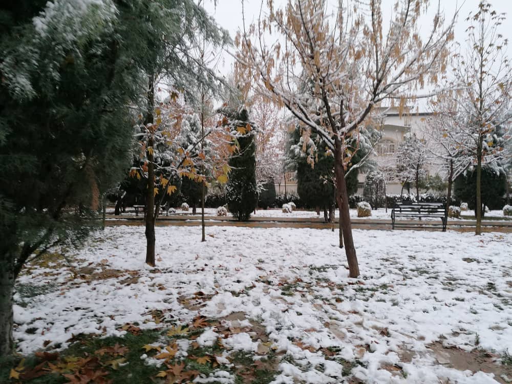 imagepark123 (20).jpeg