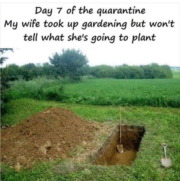 C 4.jpeg