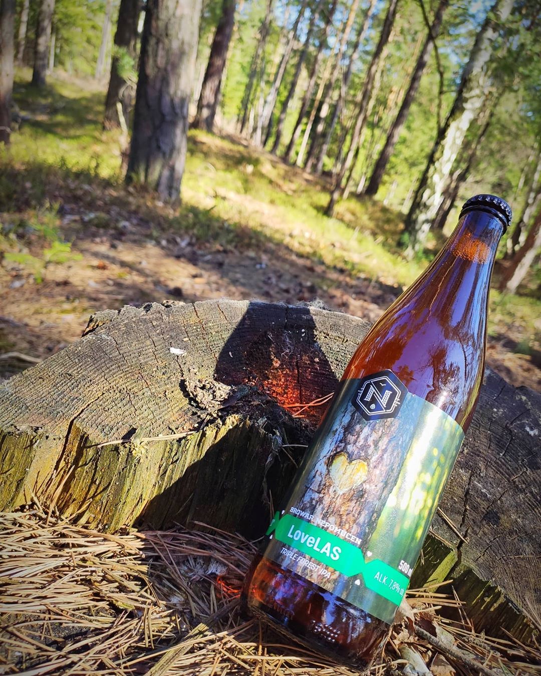 93331927_246346323080936_1183836359470880032_n (1).jpg