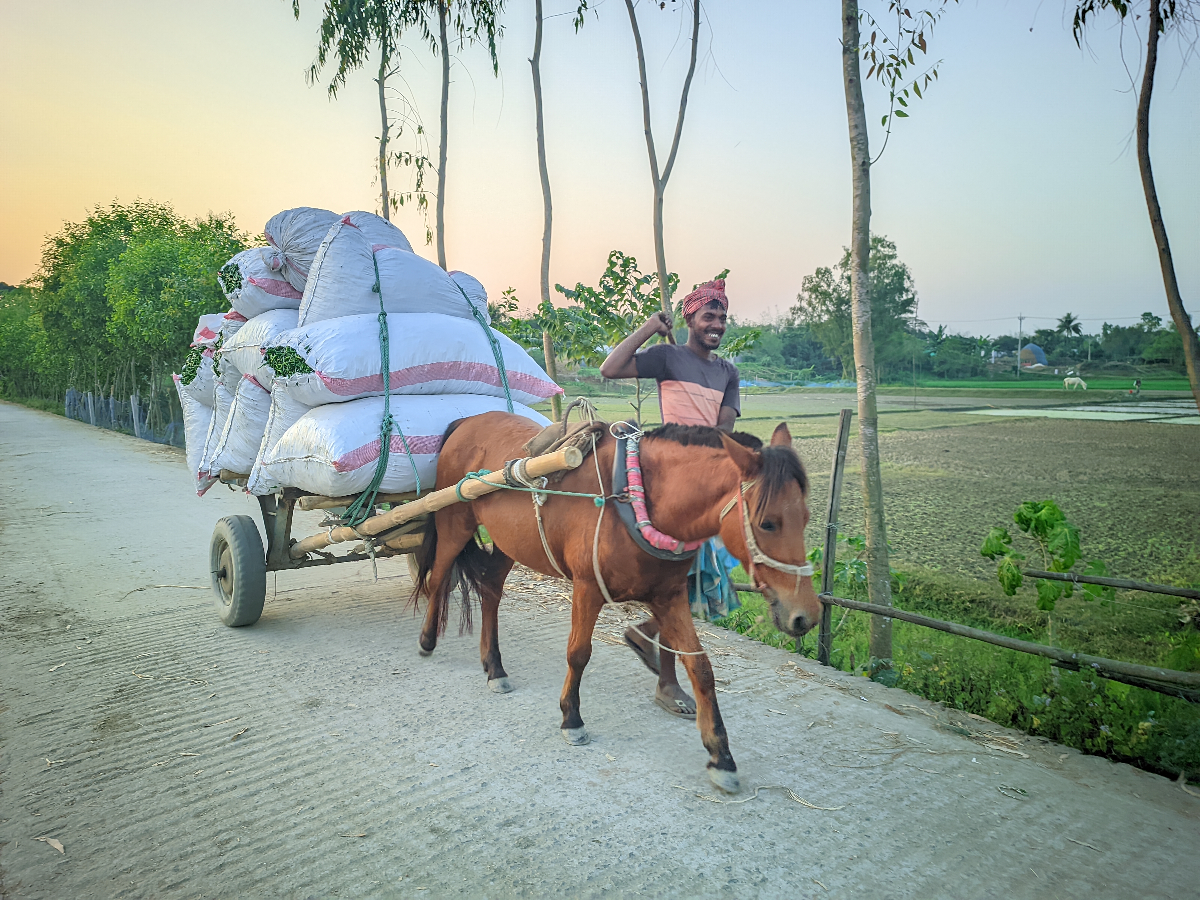 Raju20251215_165254_Vivid Human Portrait By Light Editz (2).jpg