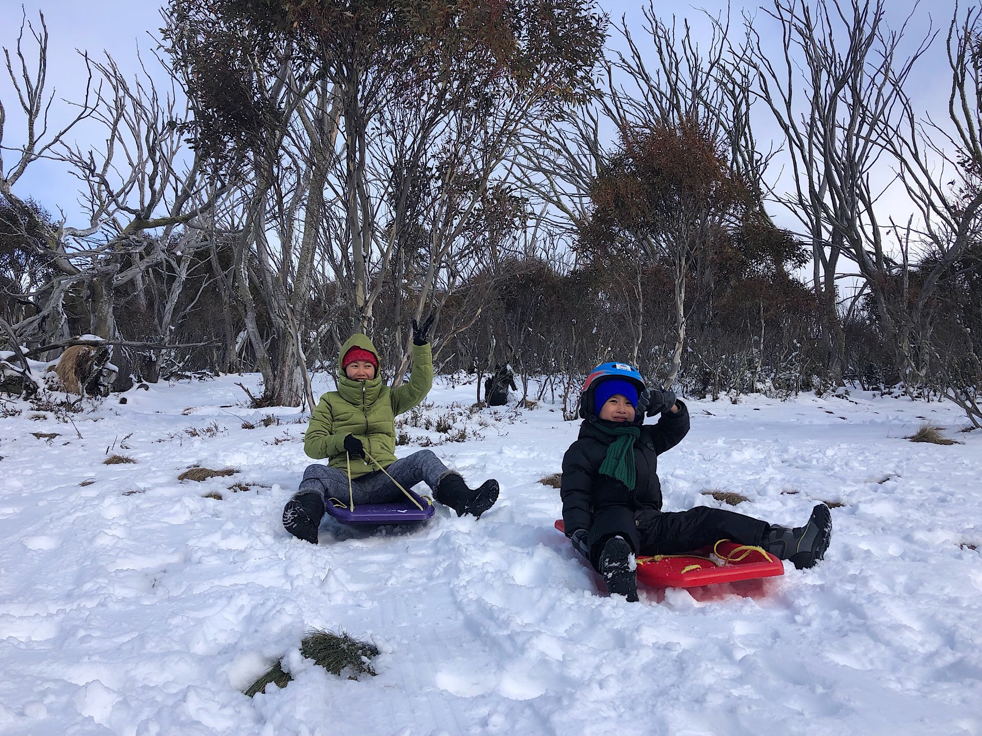 Tobogganing at the Dead Horse Gap