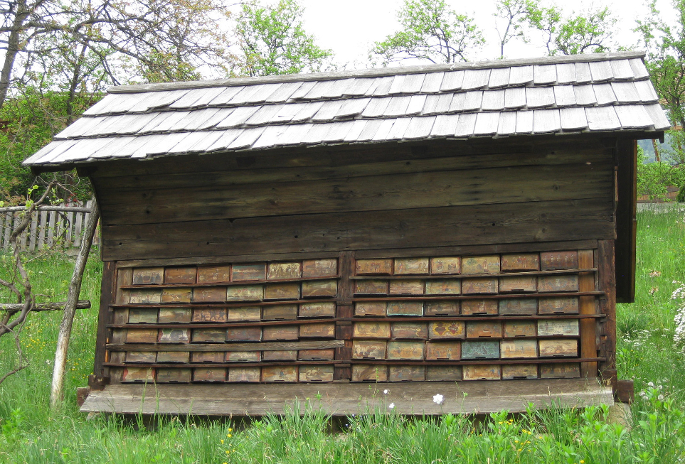 managed behives JansevCebelnjak1 public slovenia 2008.jpg