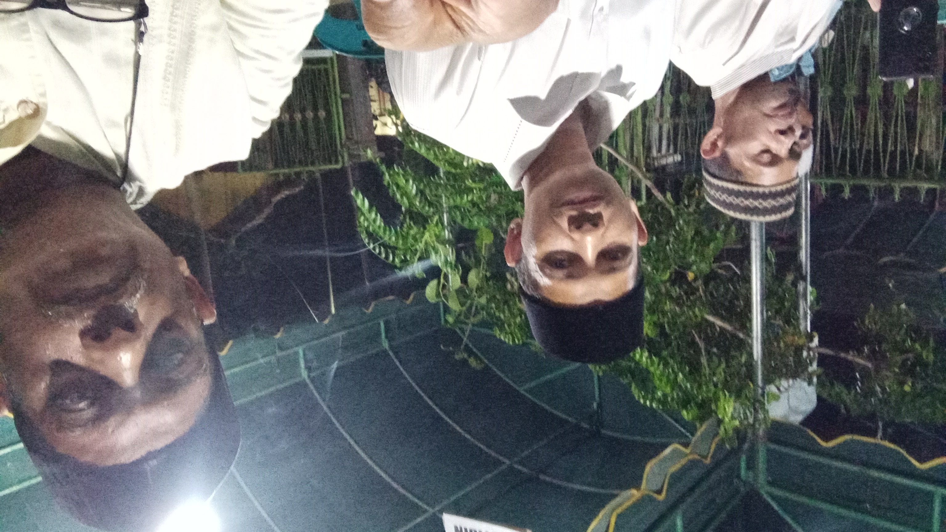 IMG-20230415-WA0160.jpeg
