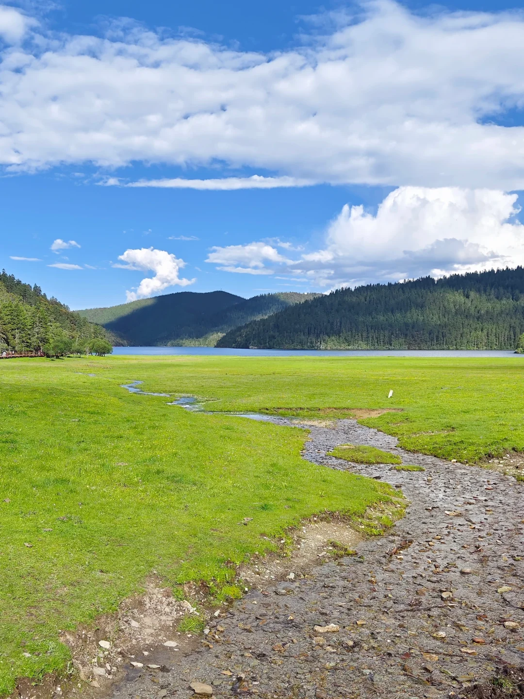 217.webp