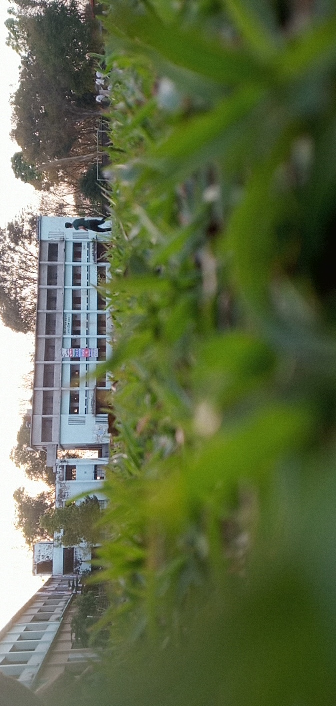 PANO_20200308_174543.jpg