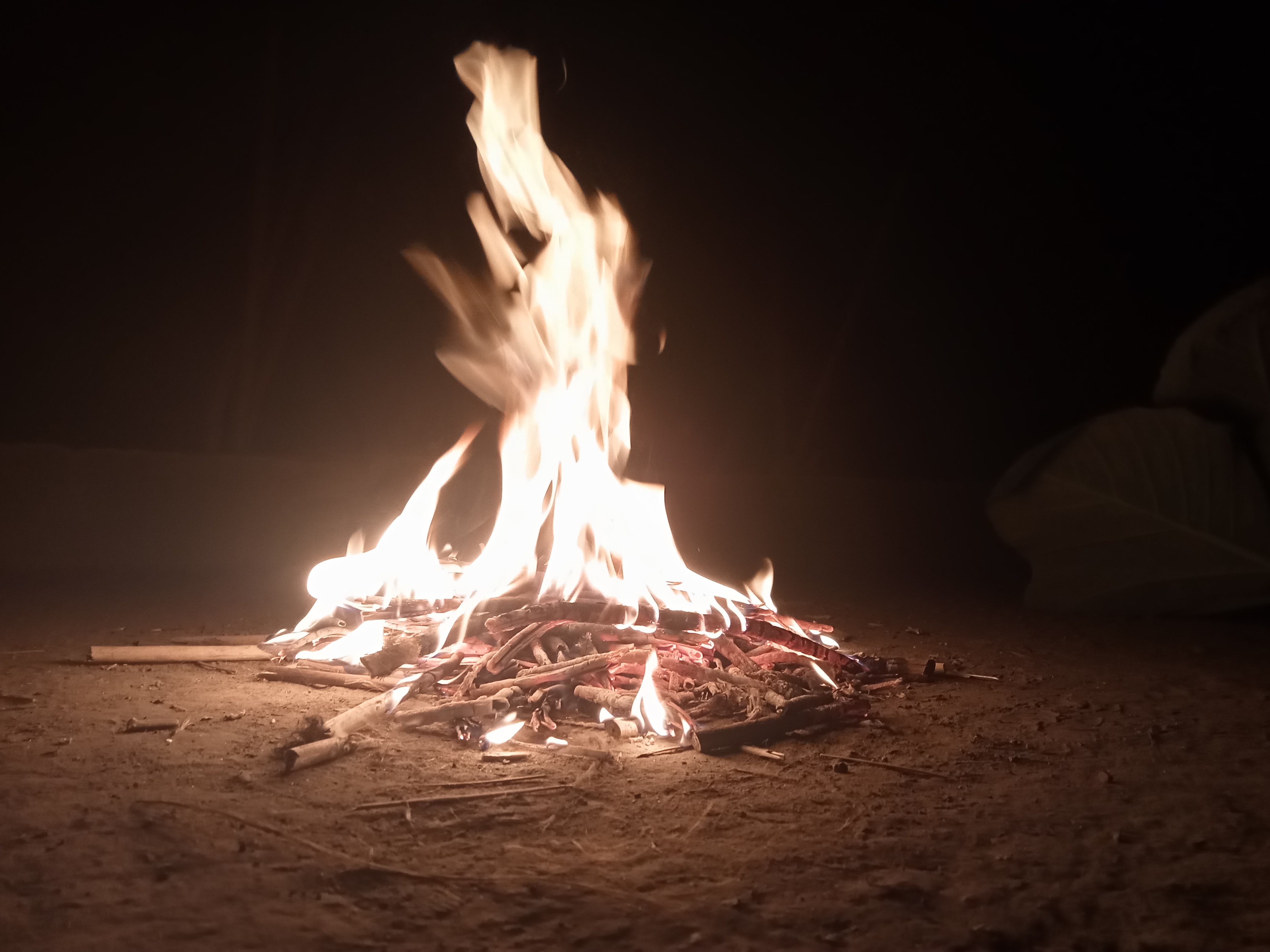 IMG20240410213715.jpg