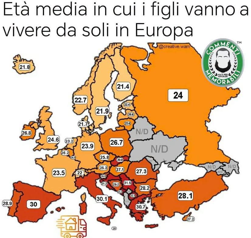 26245.jpg