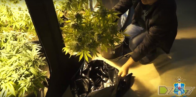 arendator-plantator-1.jpg