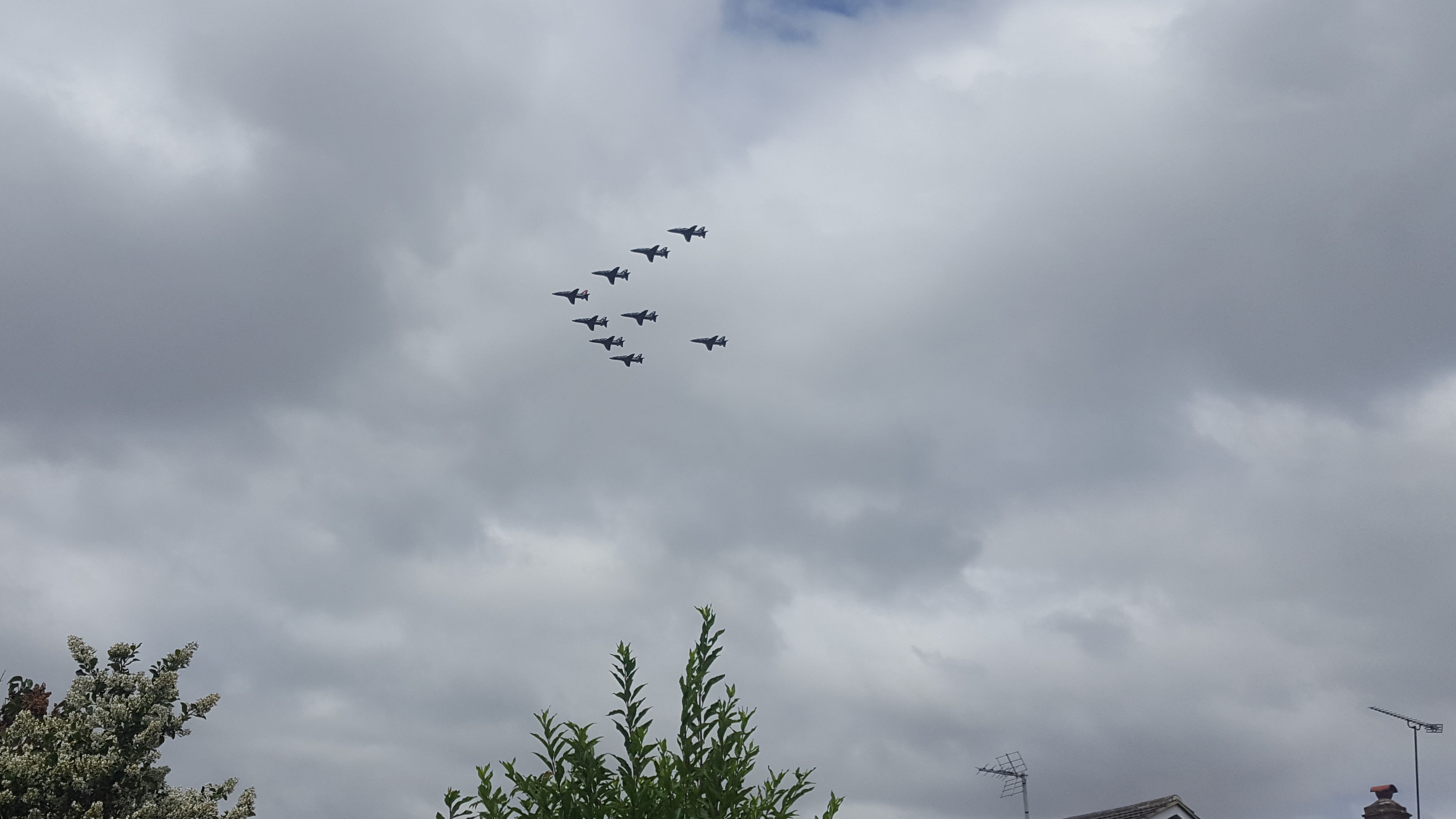 20180710_130302.jpg