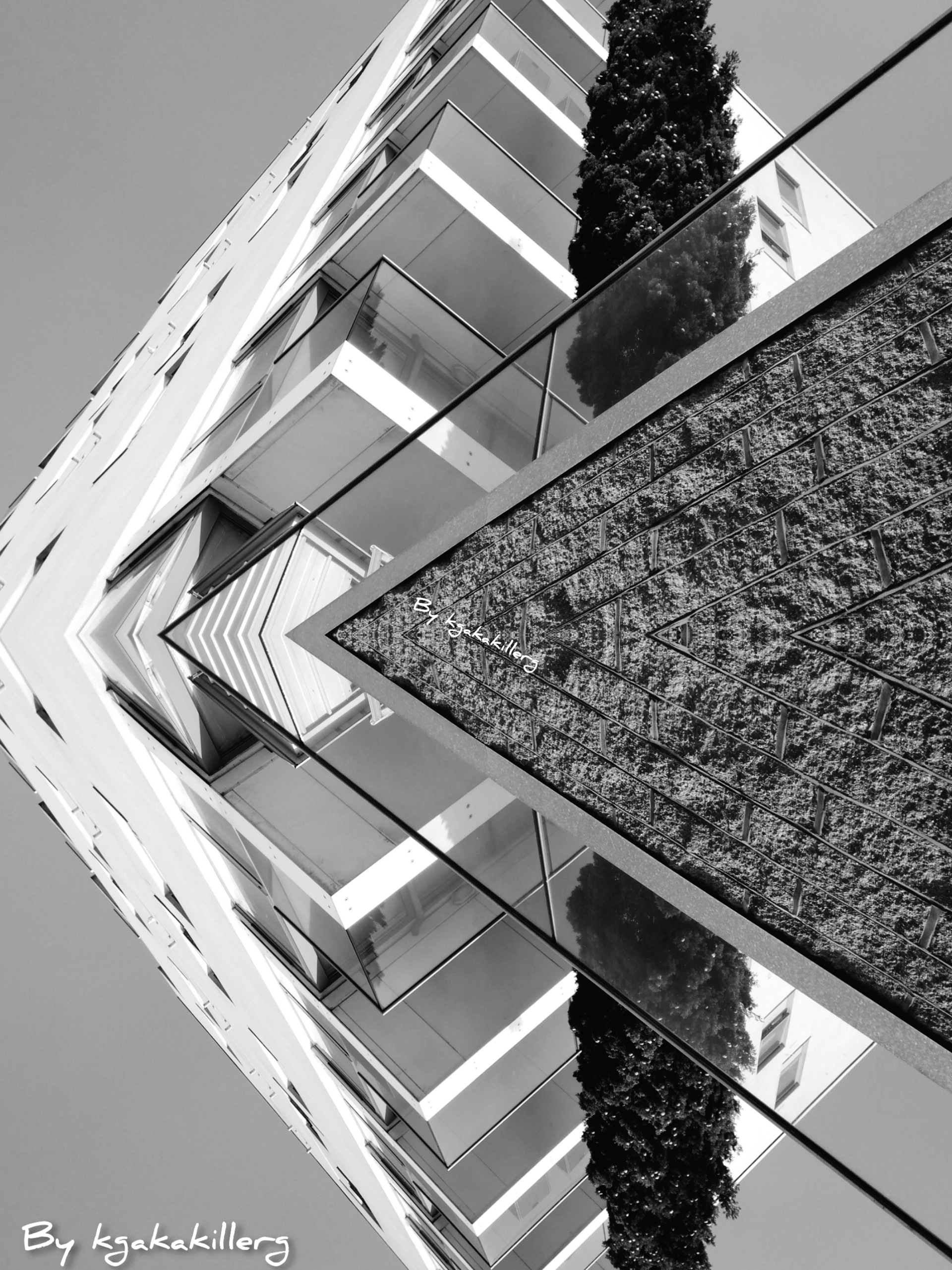 InShot_20200326_214454743.jpg