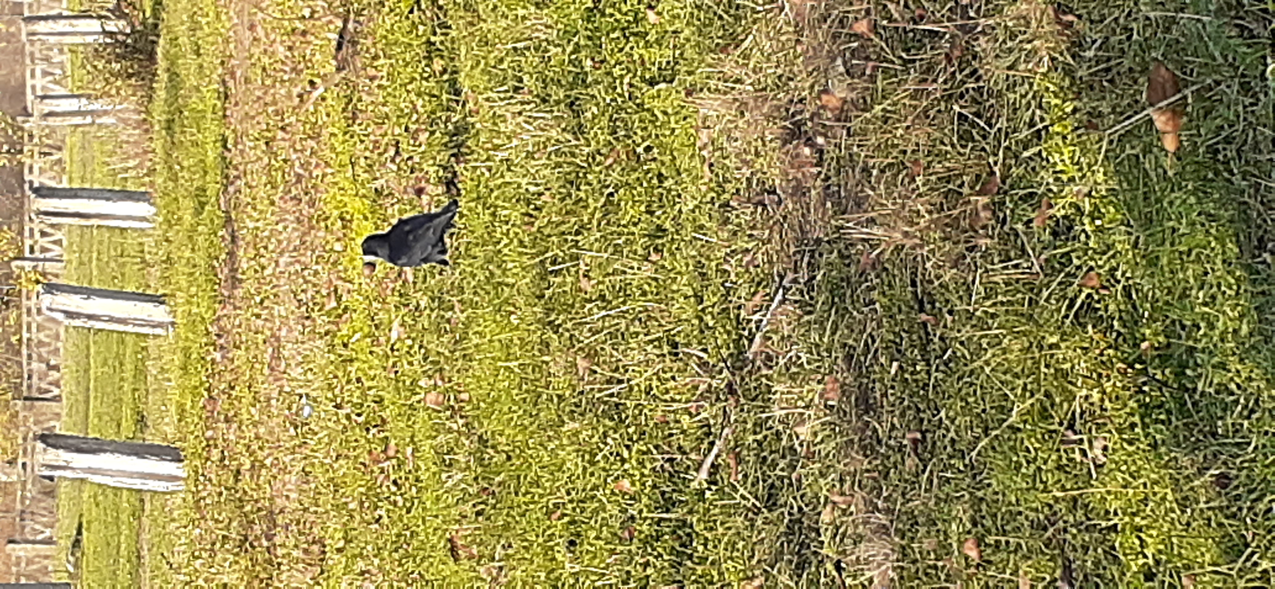 20201112_142702(0).jpg