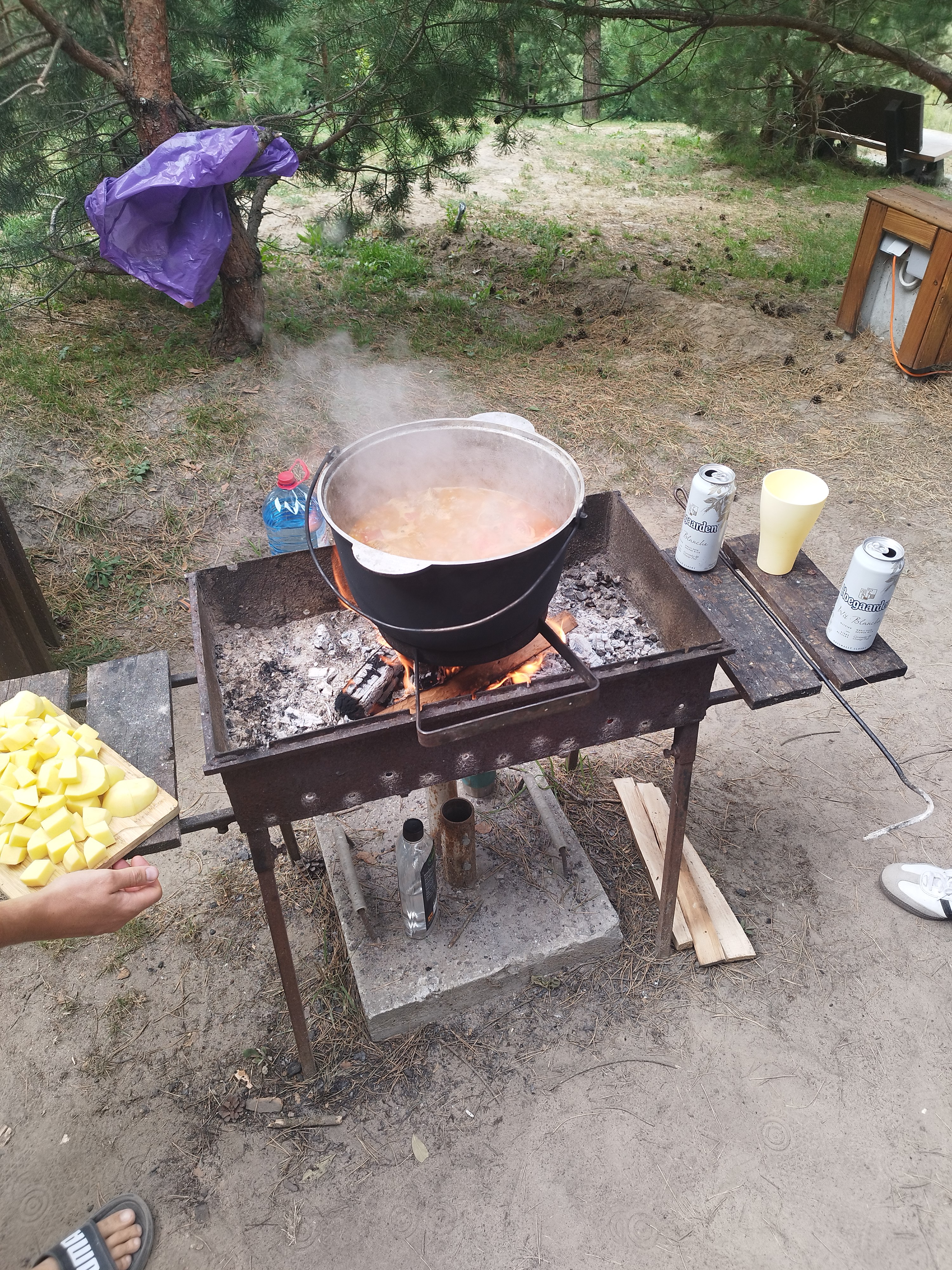 IMG_20260808_114222.jpg