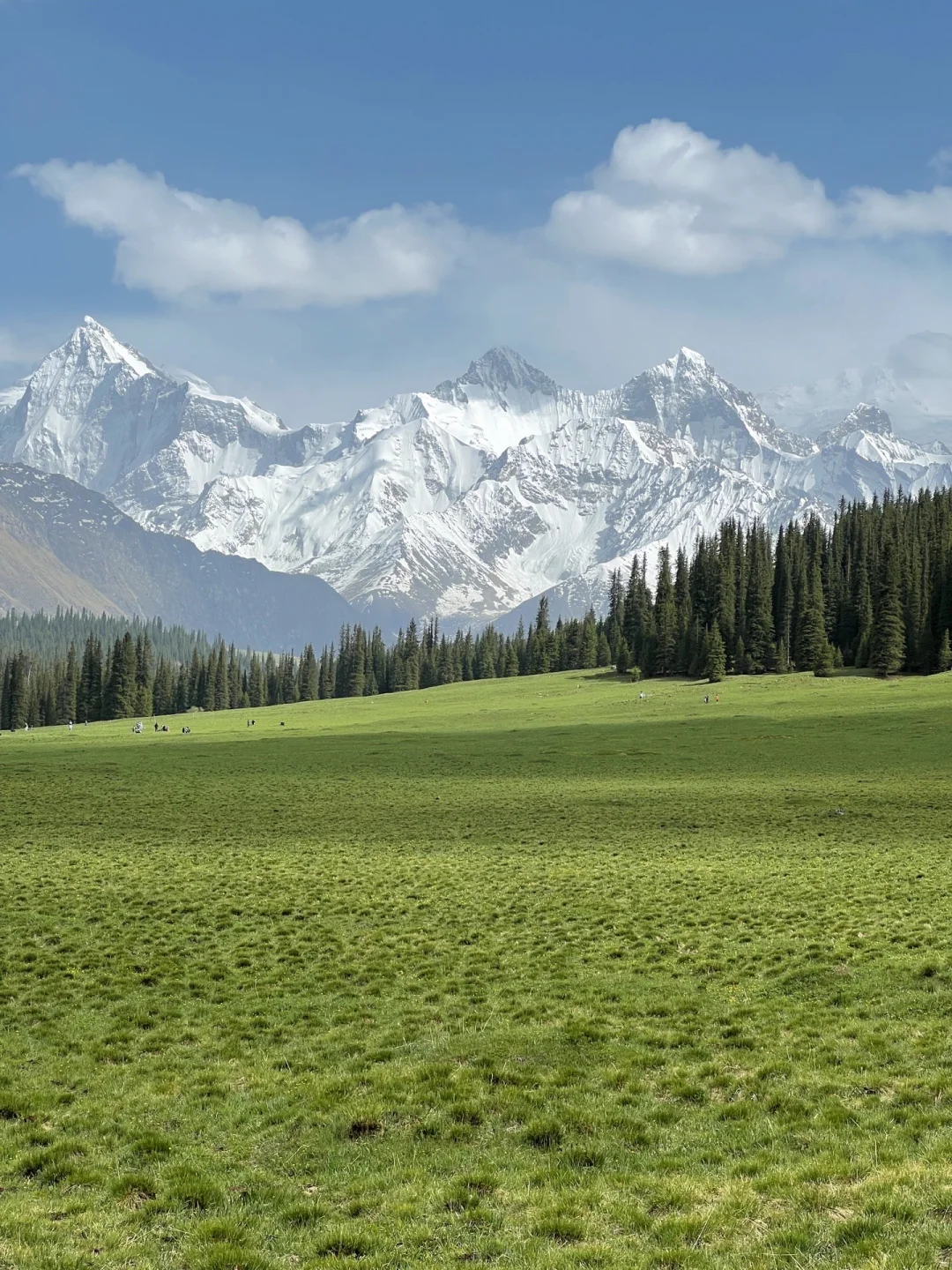 172.webp
