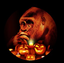 Screenshot_20211023-145531.png