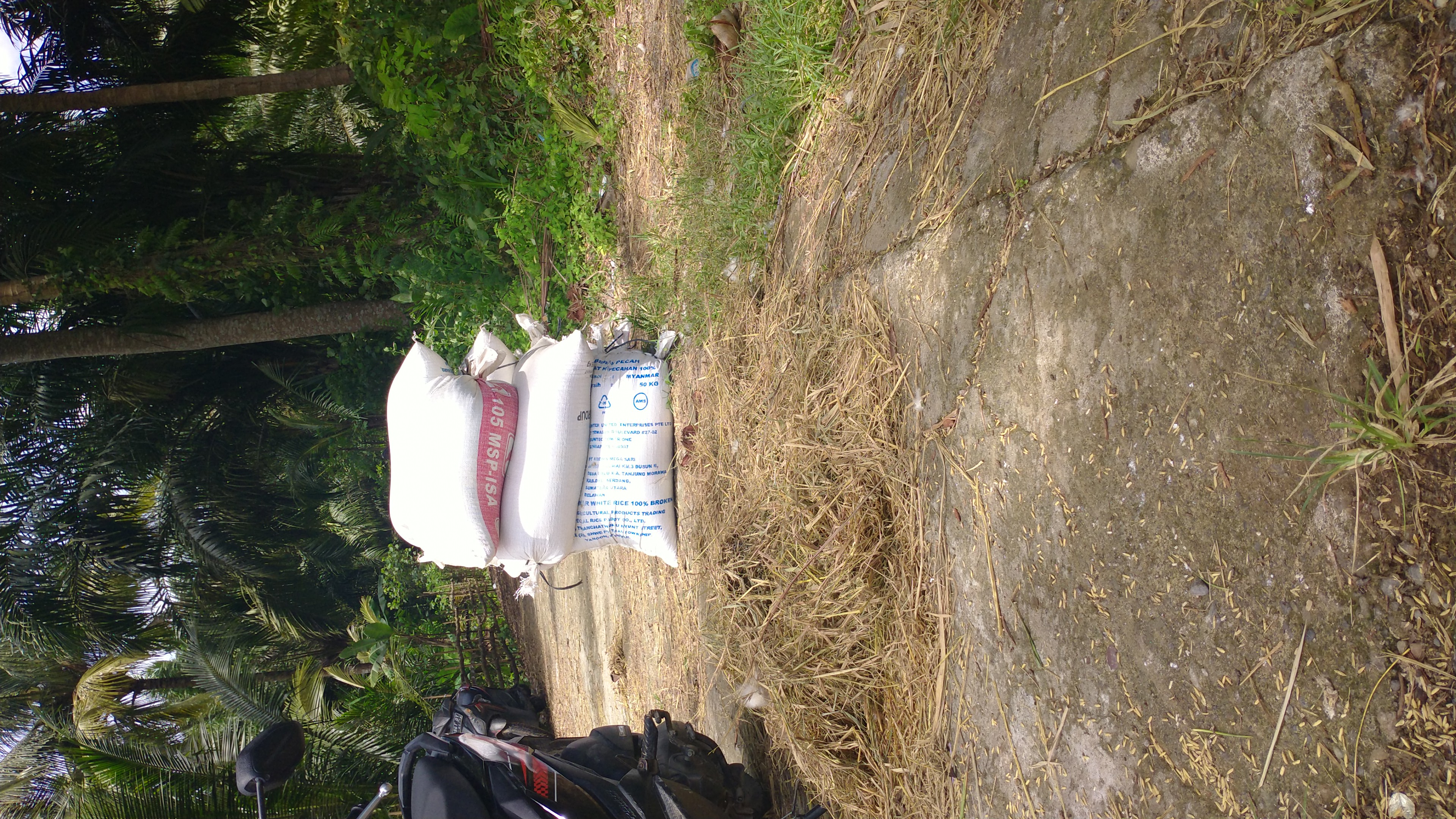 IMG-20210327-WA0004.jpeg