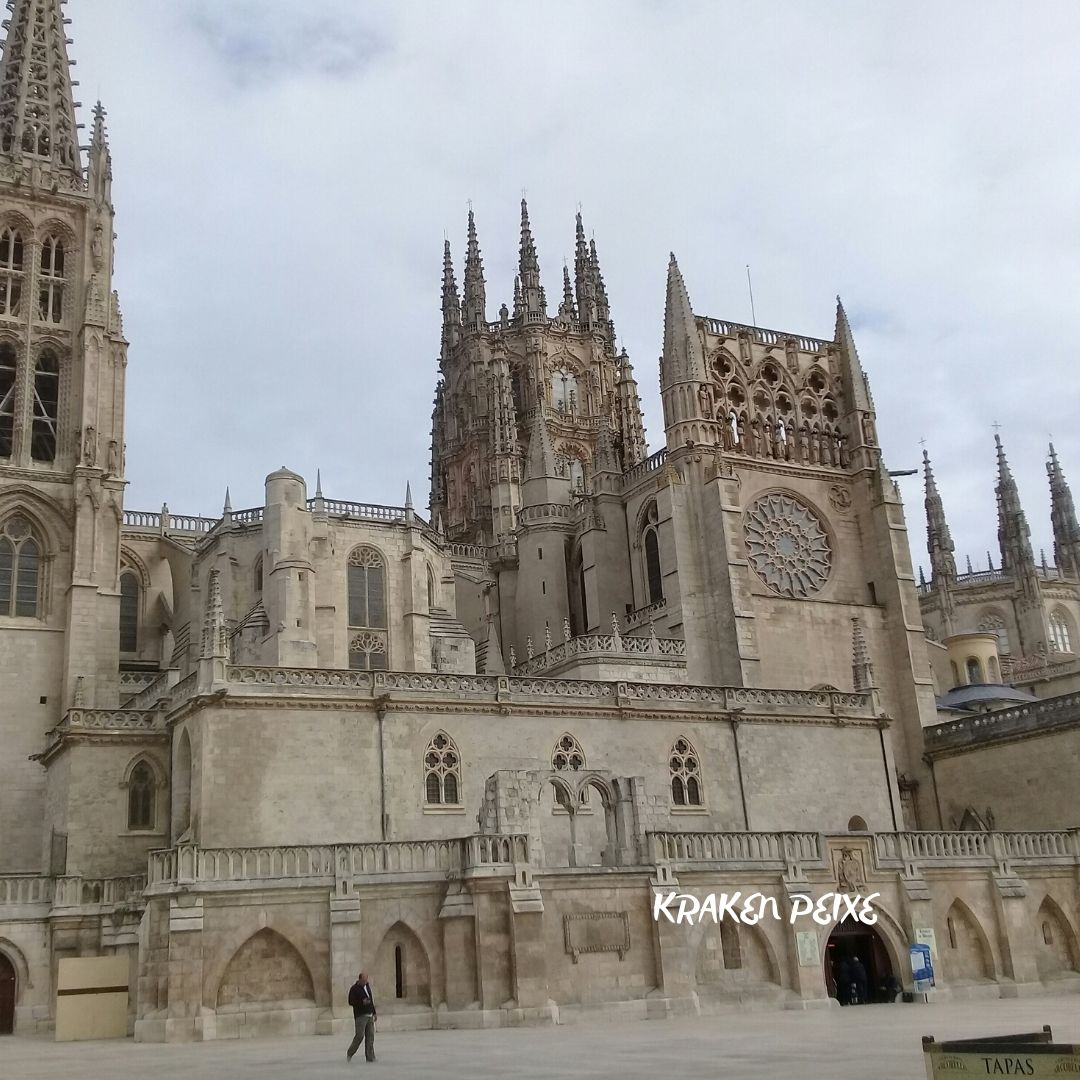 burgos (5).jpg